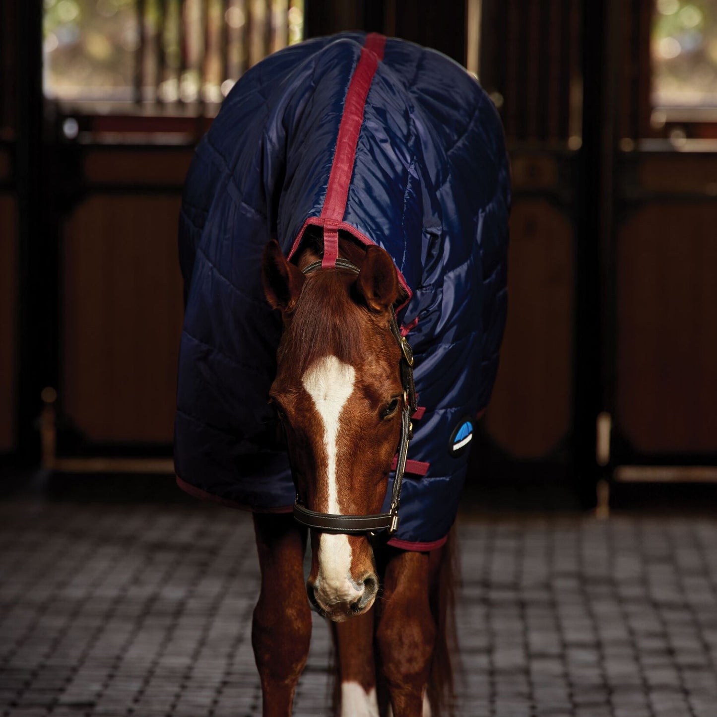 Weatherbeeta ComFiTec 210D Channel Quilt Stable Combo 100g Navy/Burgundy