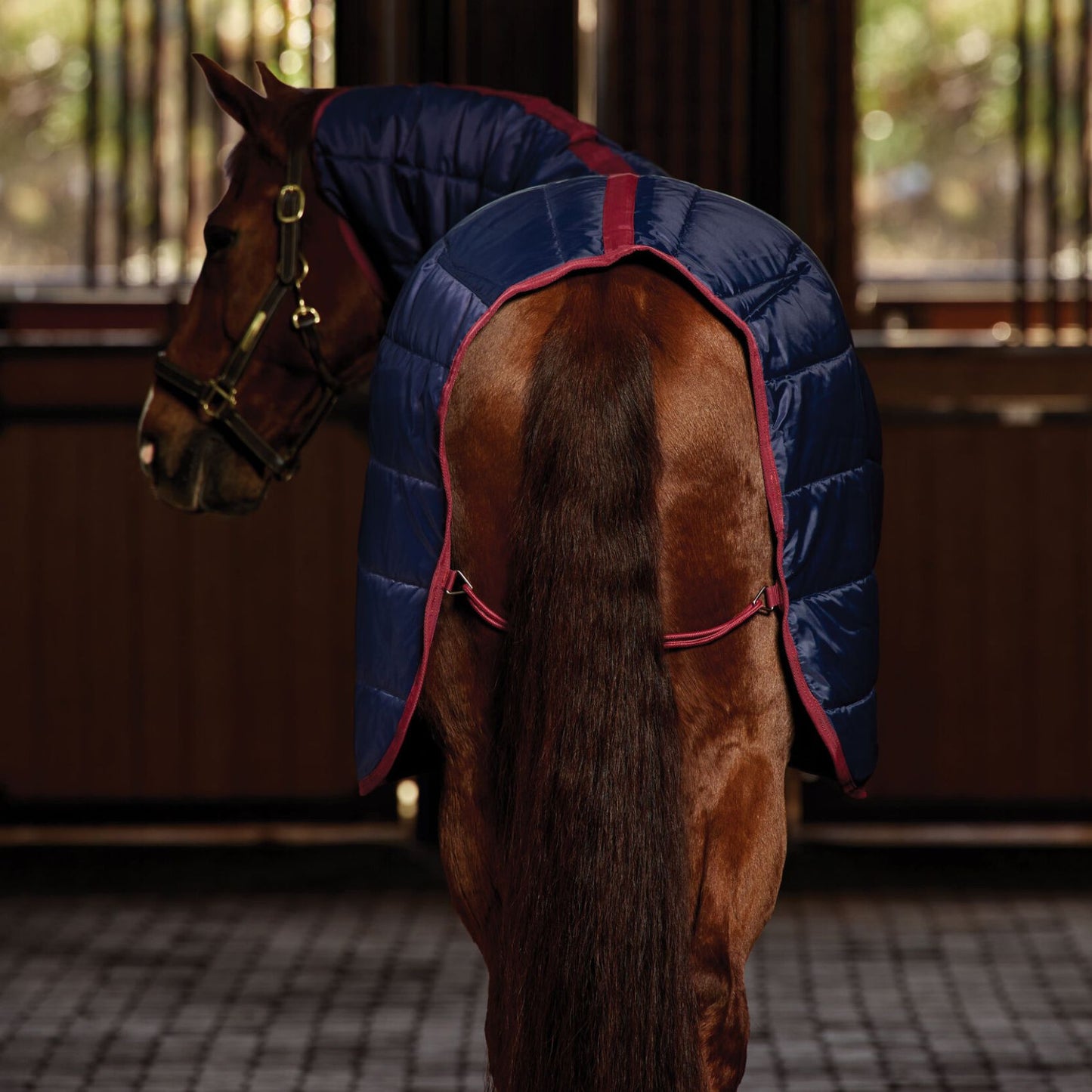 Weatherbeeta ComFiTec 210D Channel Quilt Stable Combo 100g Navy/Burgundy