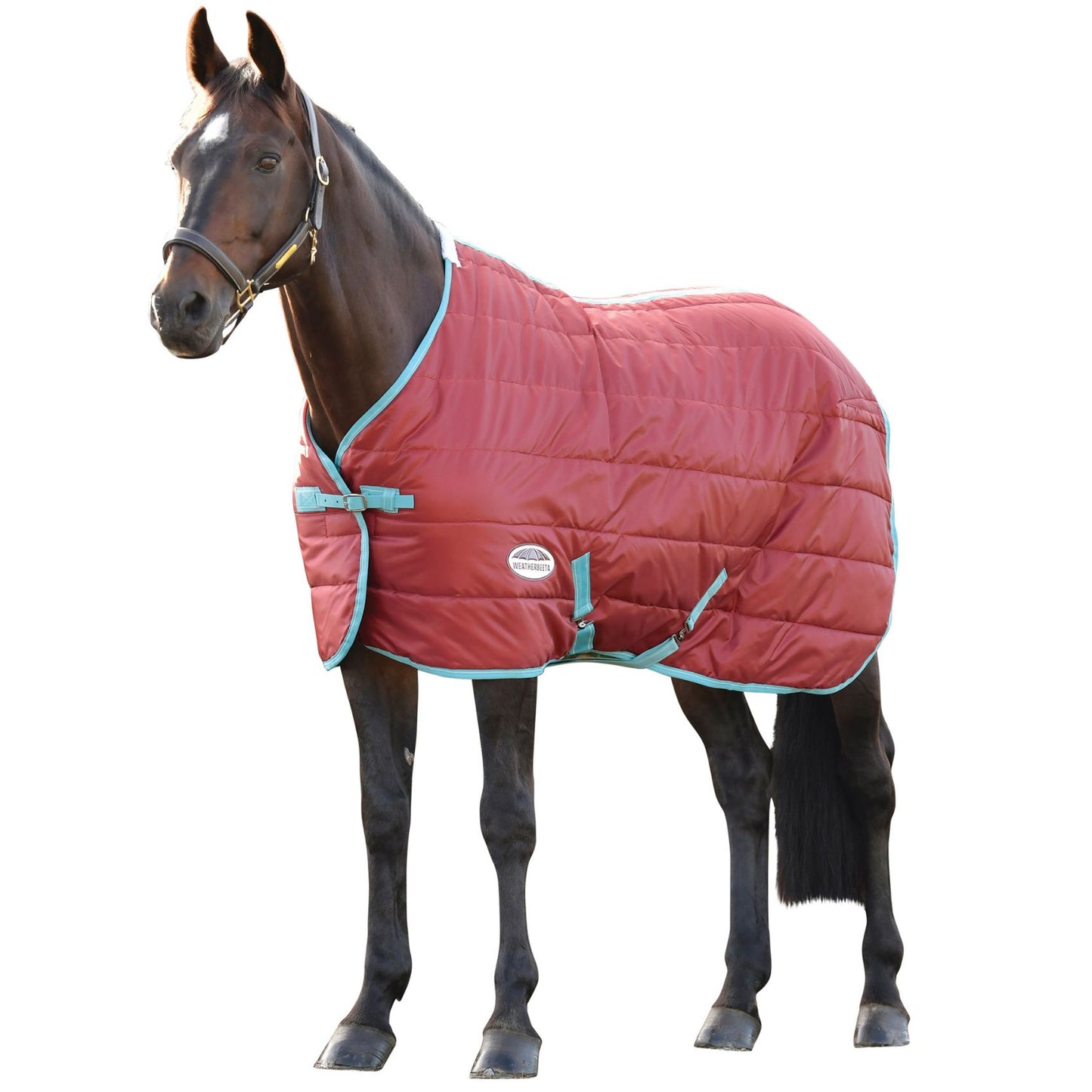 Weatherbeeta ComFiTec 210D Channel Quilt Standard Medium/Lite Red/Blue/Beige