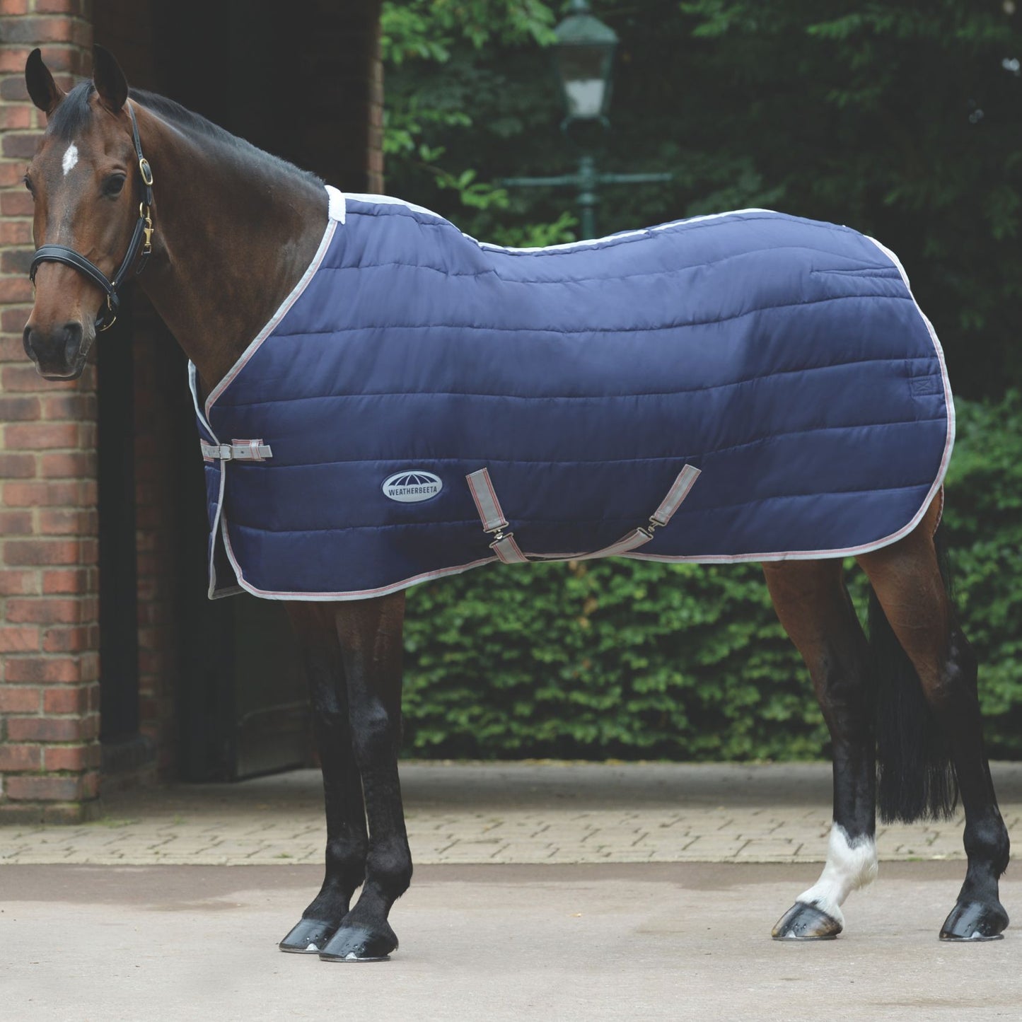Weatherbeeta ComFiTec 210D Channel Quilt Standard Medium Navy/Silver/Red