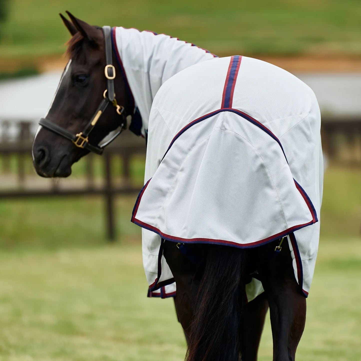 Weatherbeeta ComFiTec Airflow Fly Sheet Detach-A-Neck Grey/Navy/Burgundy