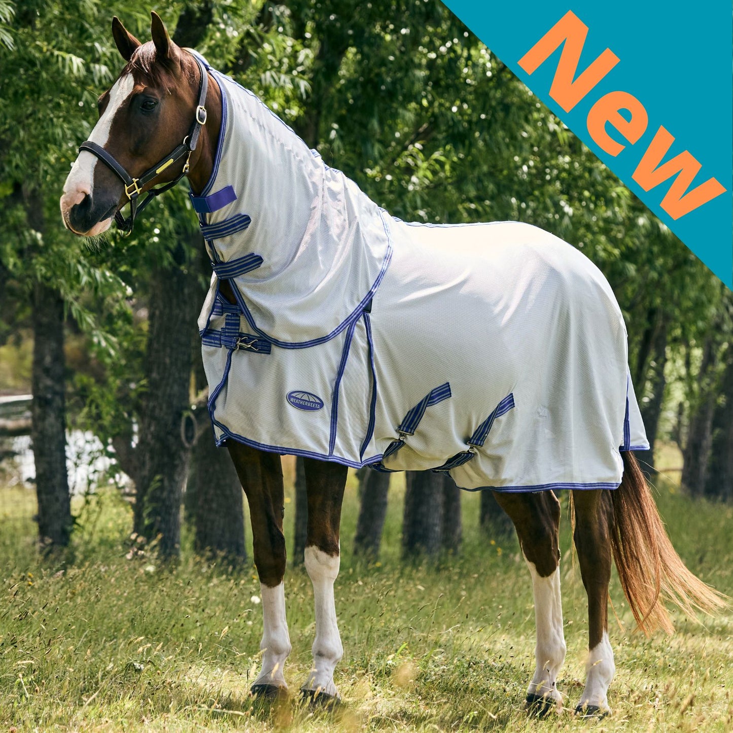 Weatherbeeta ComFiTec Airflow II Detach-A-Neck Grey/Blue/Grey