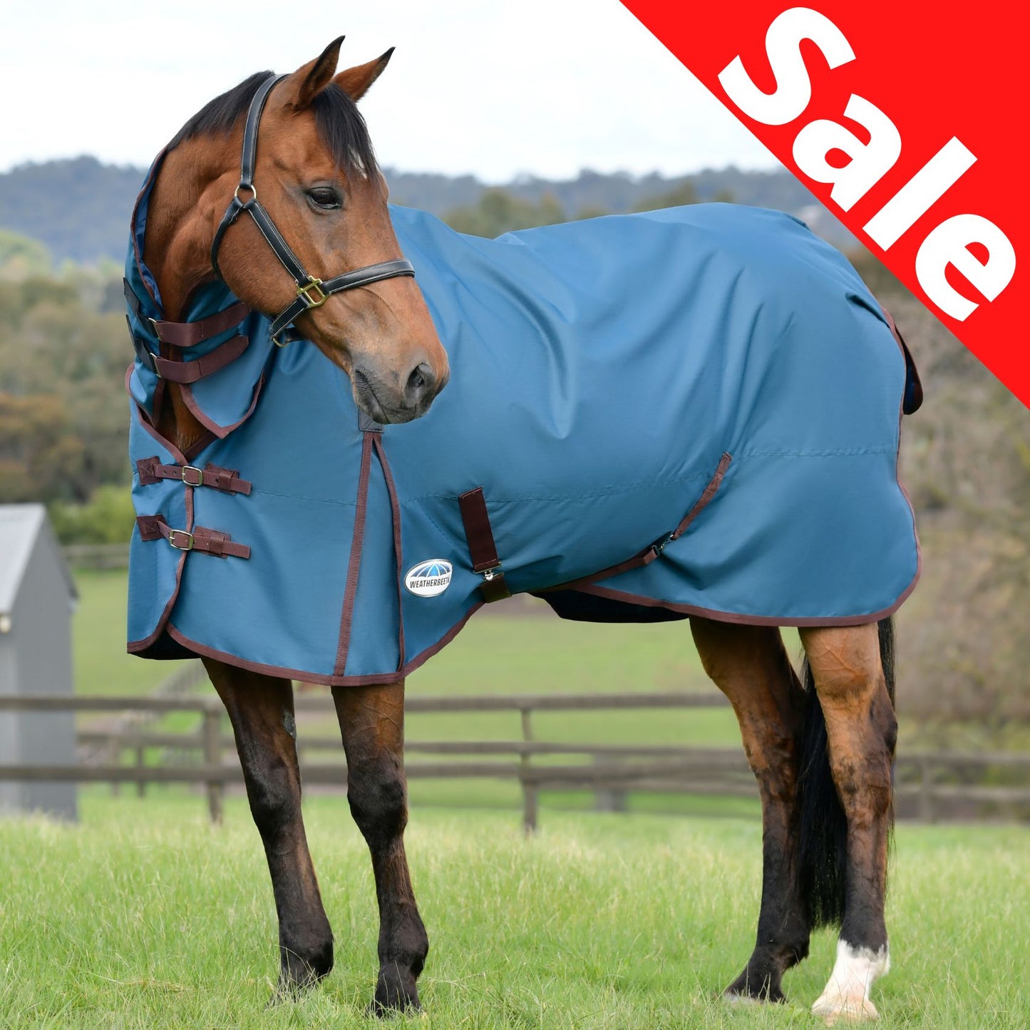 Weatherbeeta ComFiTec Classic Combo Lite Plus 50g Dark Blue/Coffee