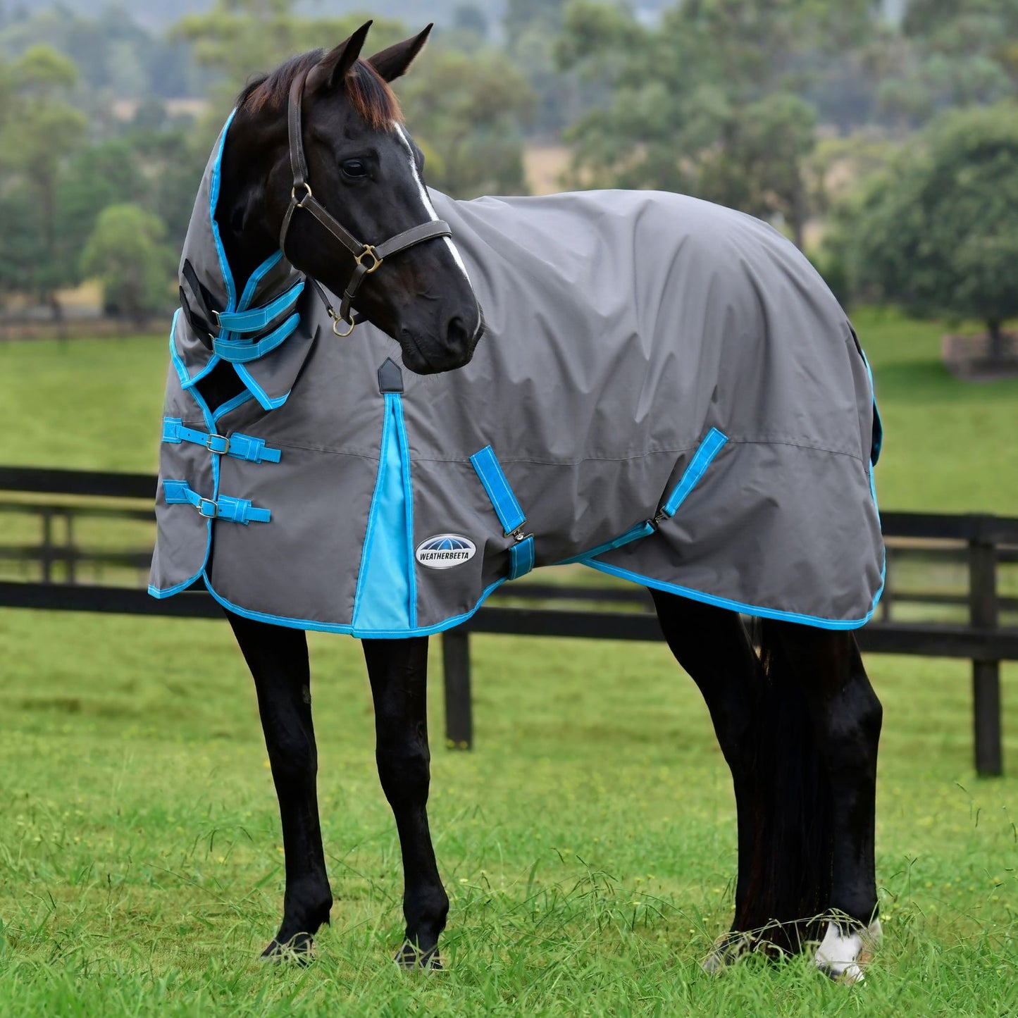Weatherbeeta ComFiTec Classic Combo Lite Plus 50g Grey/Bright Blue/White