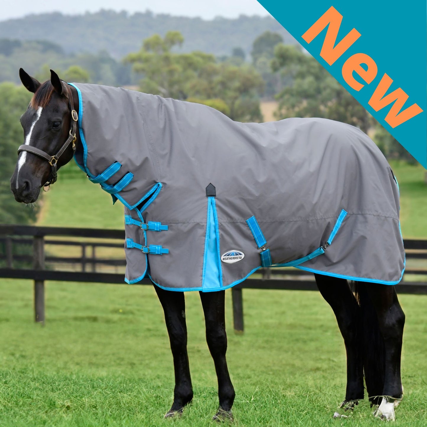 Weatherbeeta ComFiTec Classic Combo Lite Plus 50g Grey/Bright Blue/White