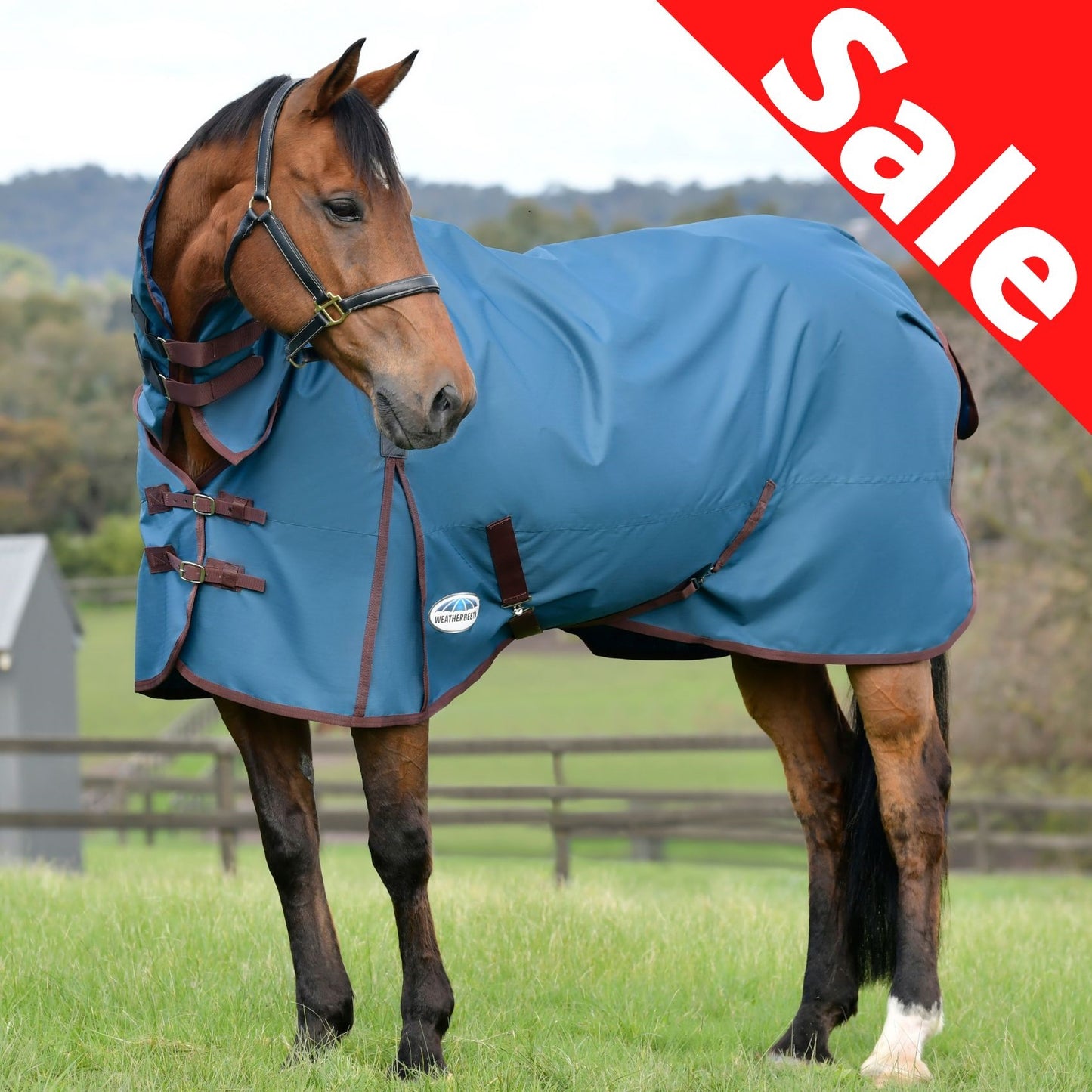 Weatherbeeta ComFiTec Classic Combo Medium Dark Blue/Coffee