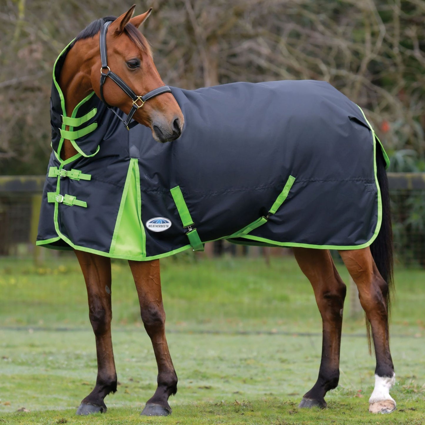 Weatherbeeta ComFiTec Classic Combo Medium/Lite 100g Black/Lime Green