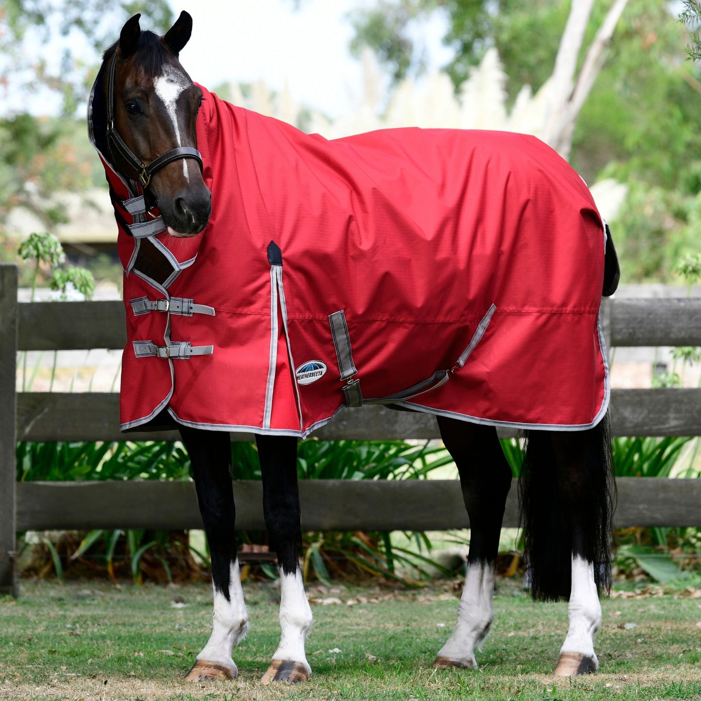 Weatherbeeta ComFiTec Classic Combo Medium Red/Silver/Navy