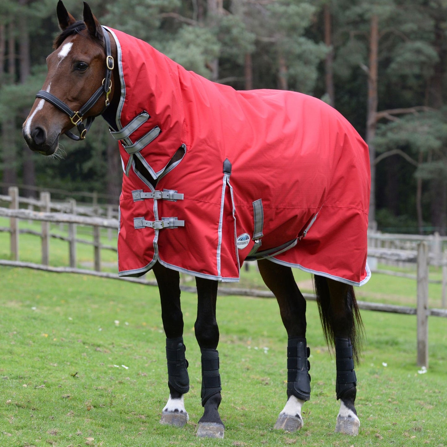 Weatherbeeta ComFiTec Classic Combo Medium Red/Silver/Navy