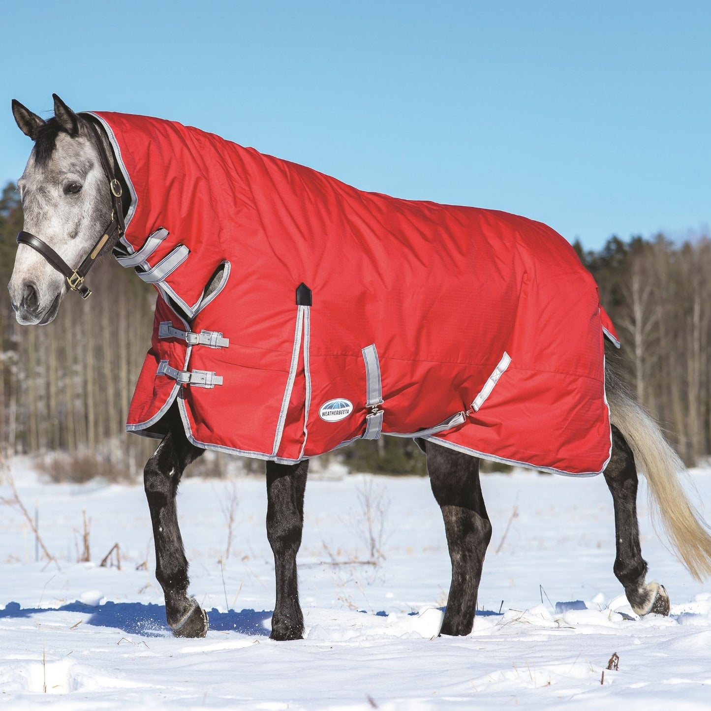 Weatherbeeta ComFiTec Classic Combo Medium Red/Silver/Navy