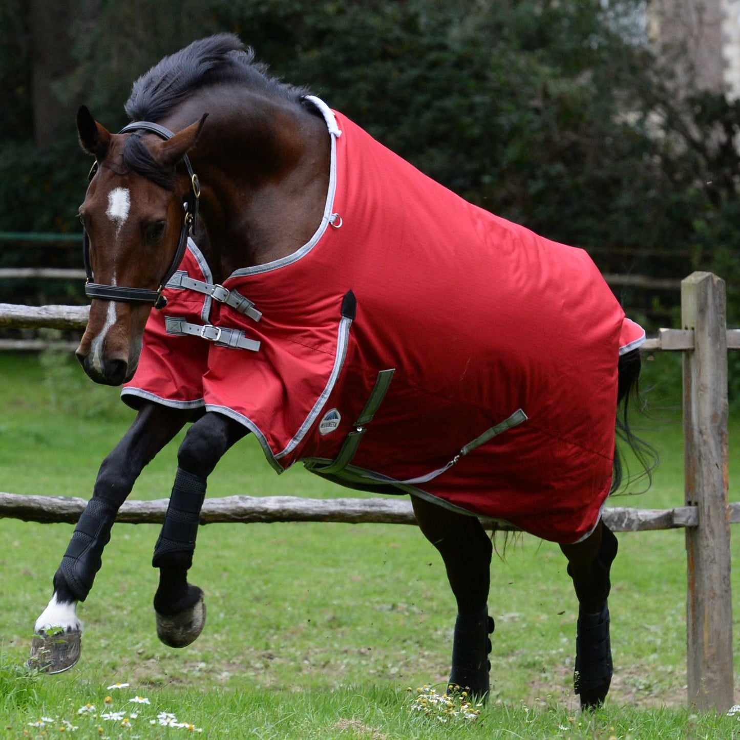 Weatherbeeta ComFiTec Classic Standard Medium Red/Silver/Navy