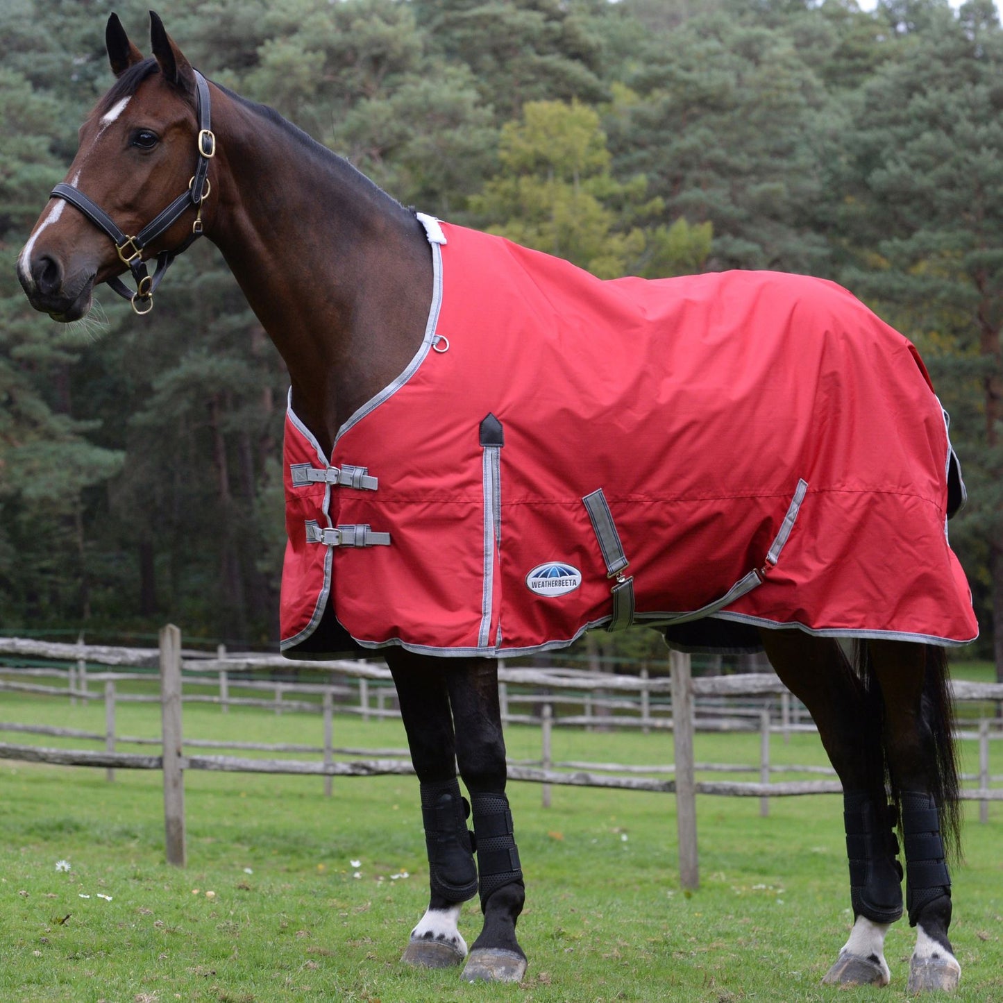 Weatherbeeta ComFiTec Classic Standard Medium Red/Silver/Navy