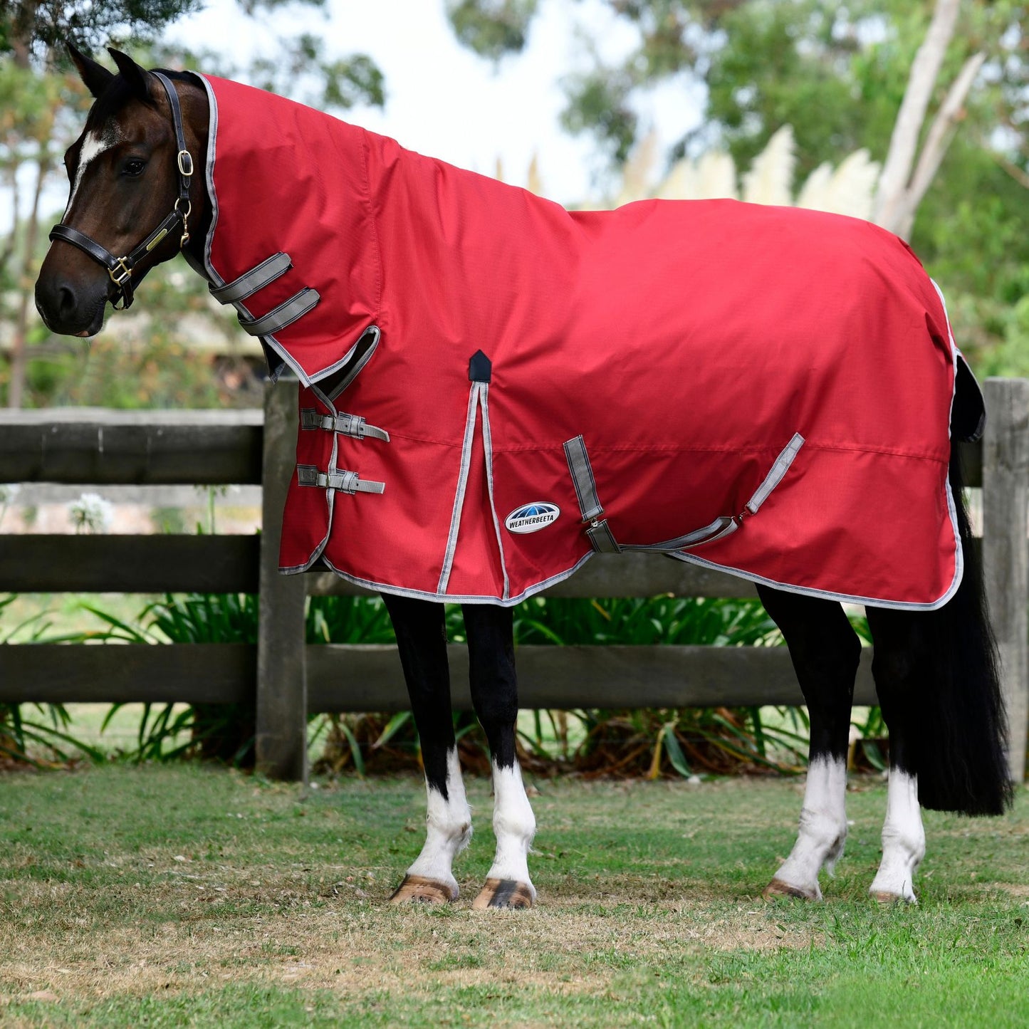 Weatherbeeta ComFiTec Classic Combo Medium Red/Silver/Navy