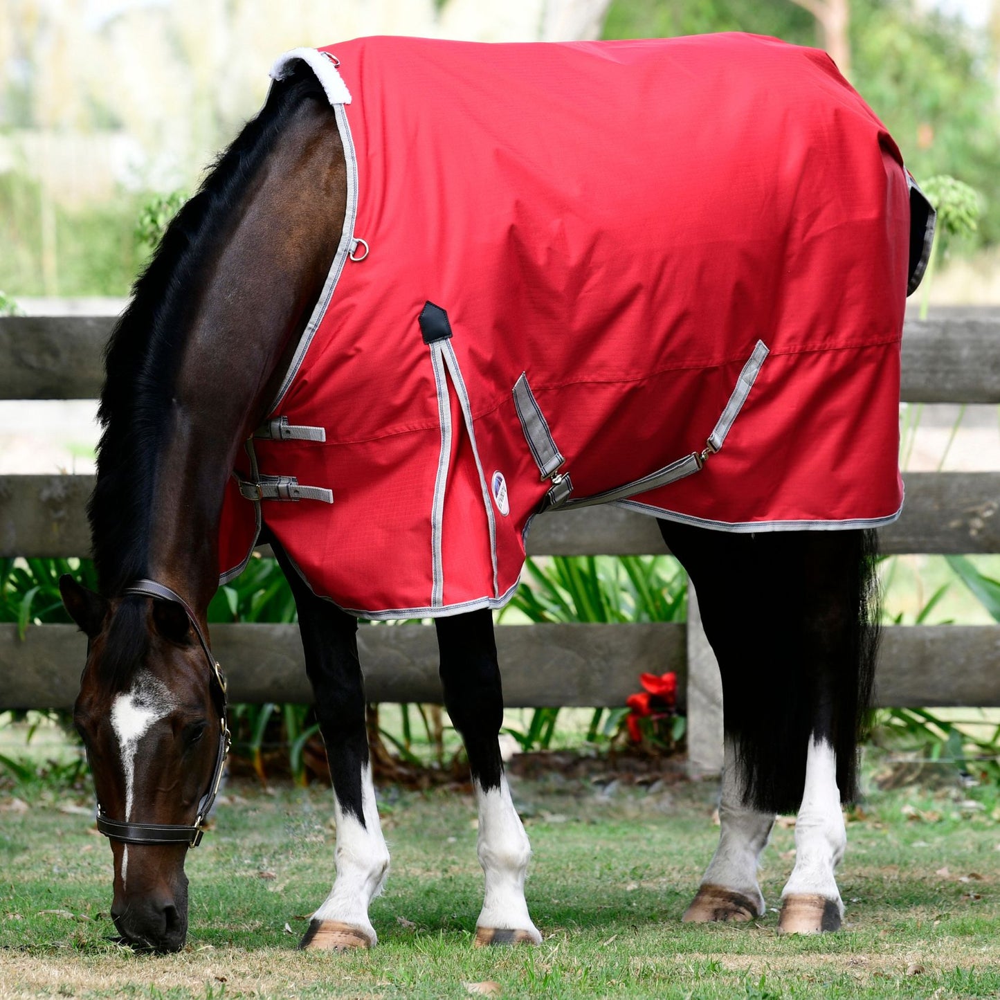 Weatherbeeta ComFiTec Classic Standard Lite Plus 50g Red/Silver/Navy