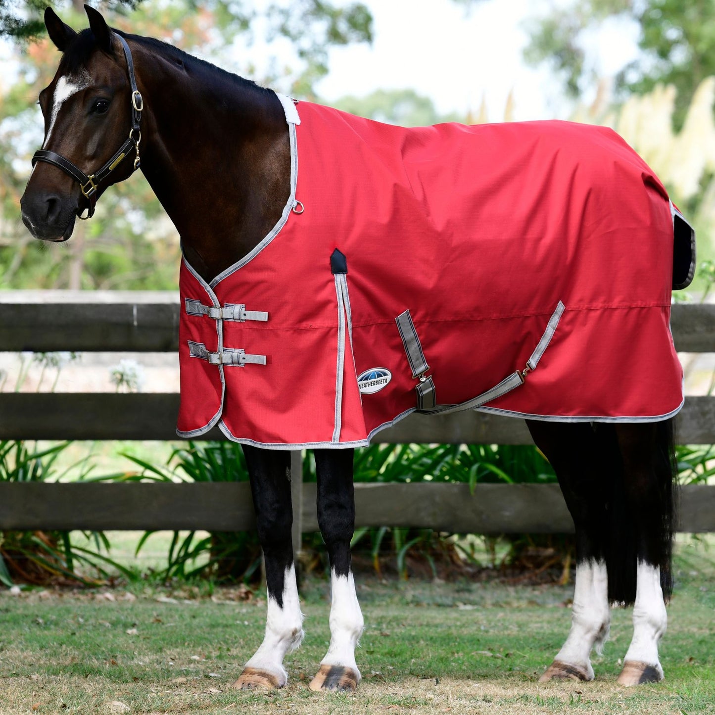 Weatherbeeta ComFiTec Classic Standard Lite Plus 50g Red/Silver/Navy