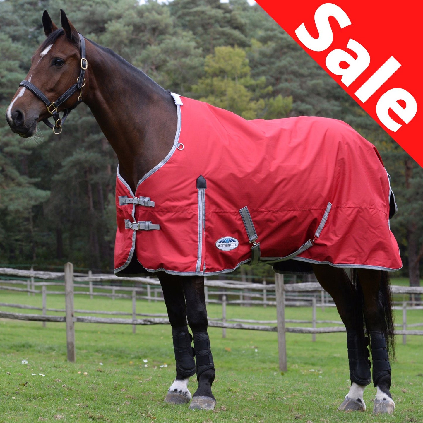 Weatherbeeta ComFiTec Classic Standard Medium Red/Silver/Navy