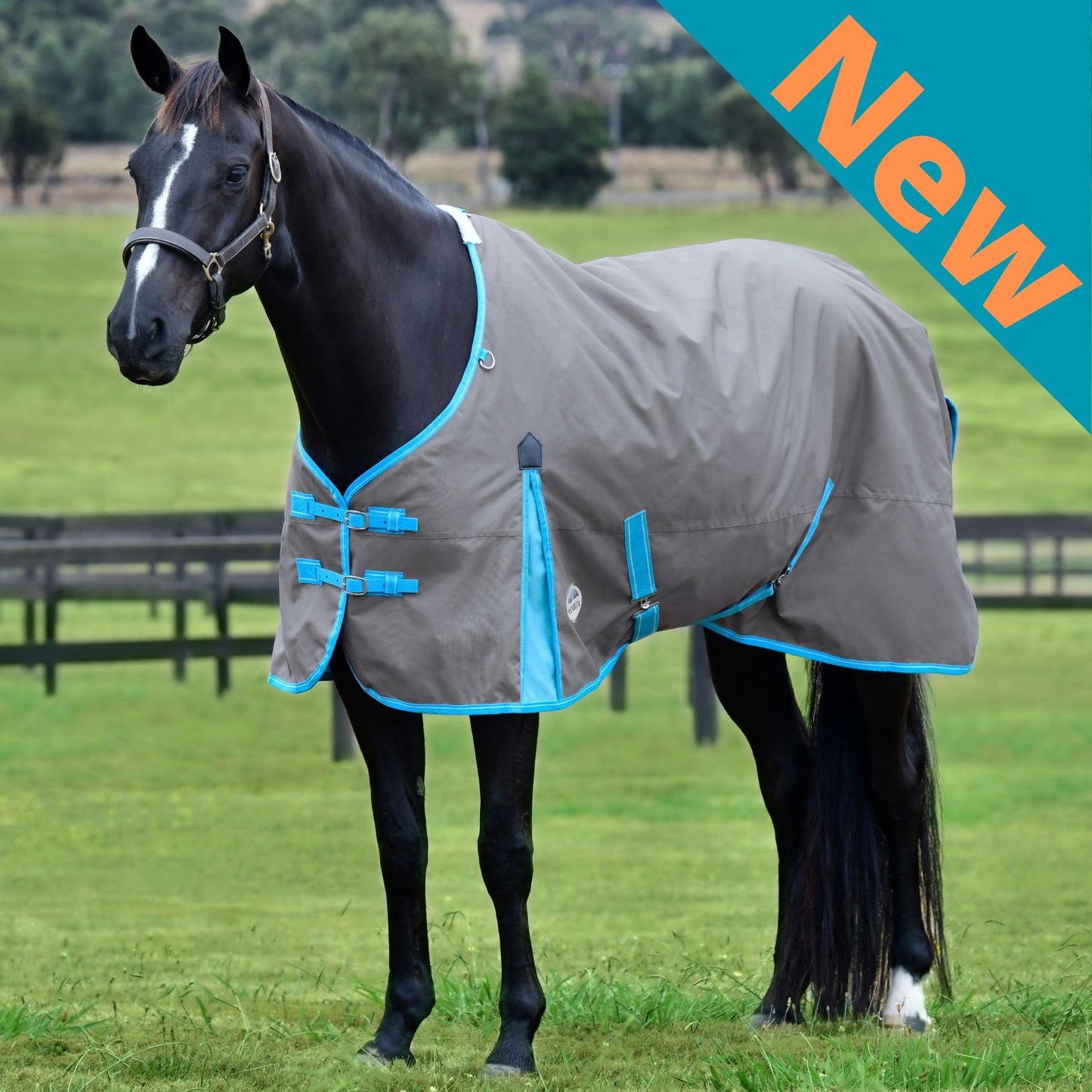 Weatherbeeta ComFiTec Classic Standard Lite Plus 50g Grey/Bright Blue/White