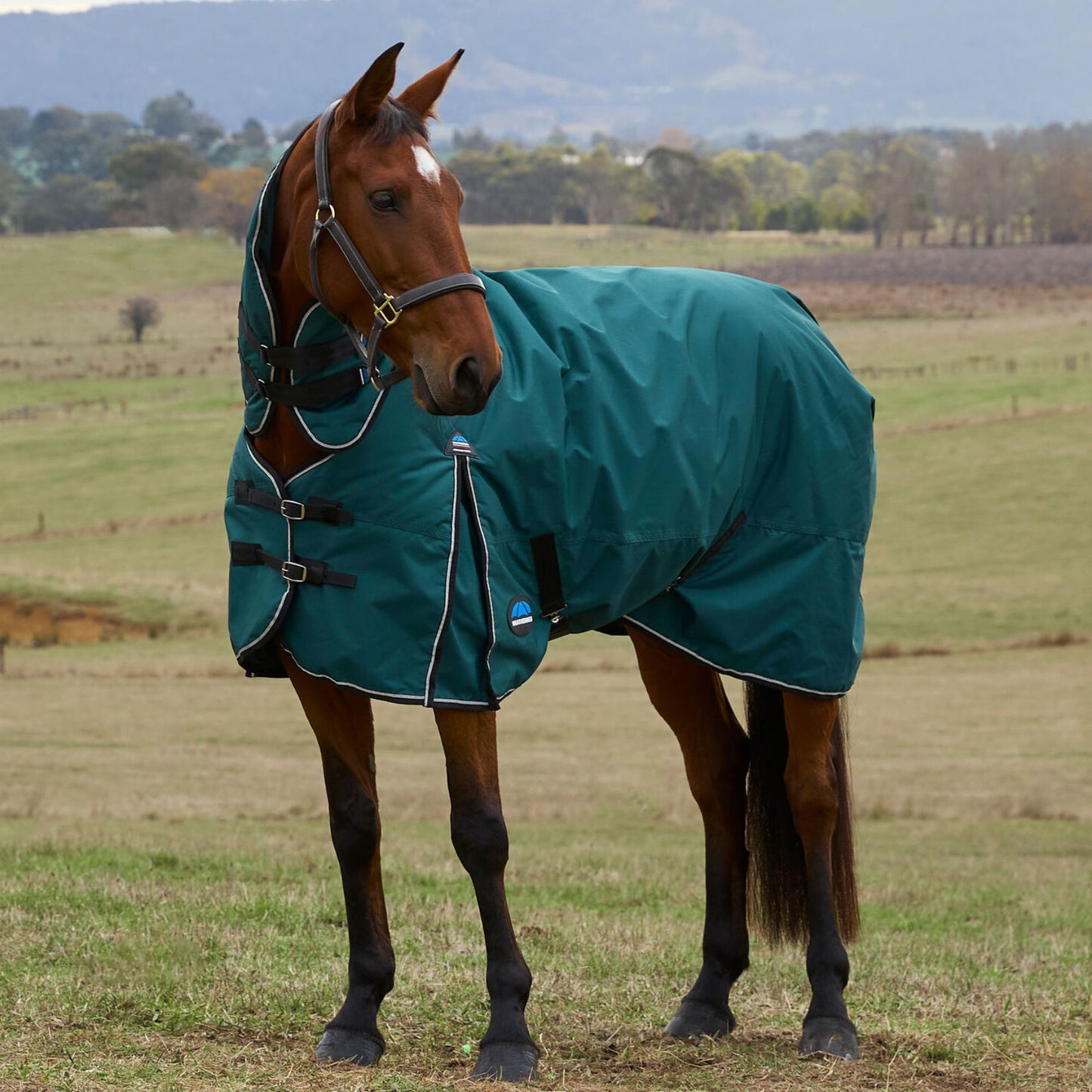 Weatherbeeta ComFiTec Classic Turnout Combo 360g Forest Green/Black