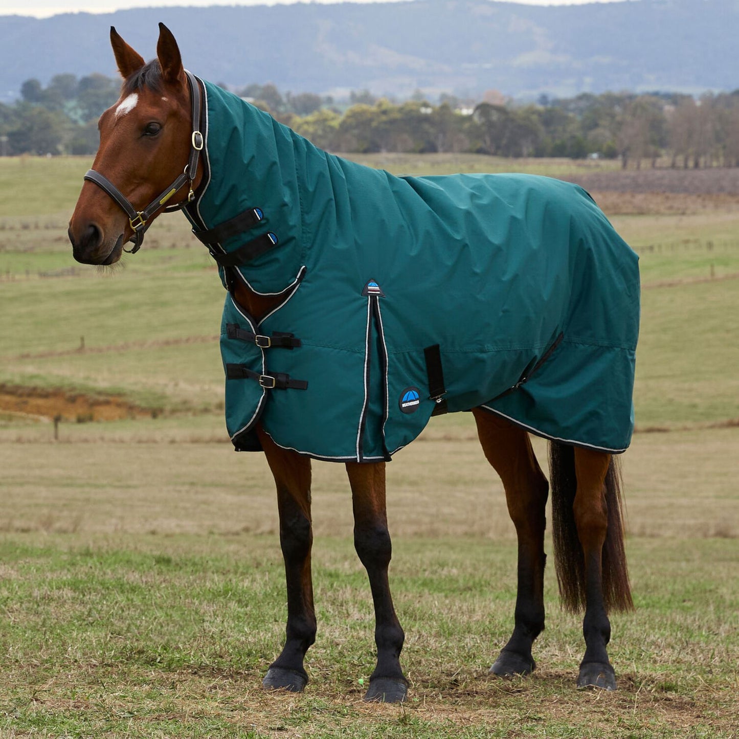 Weatherbeeta ComFiTec Classic Turnout Combo 360g Forest Green/Black