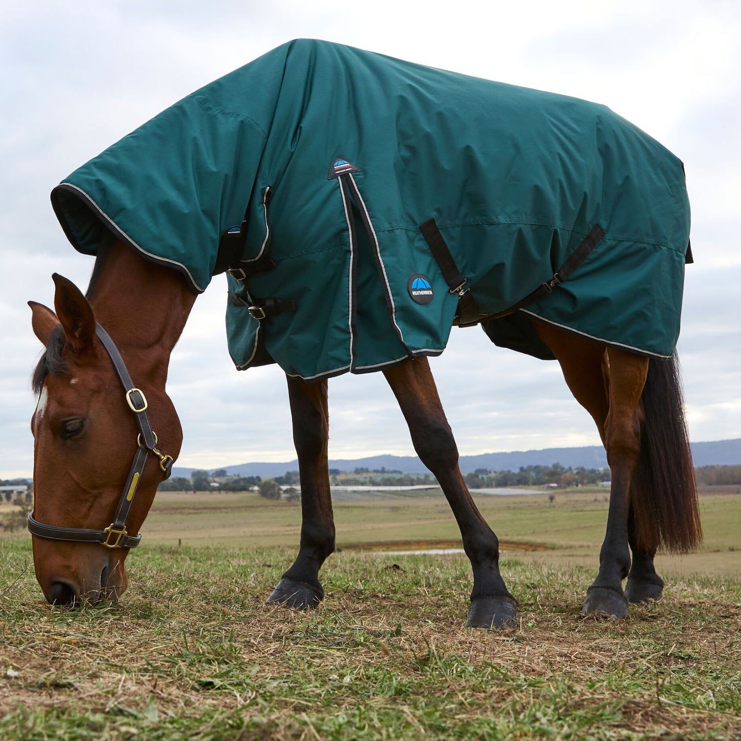 Weatherbeeta ComFiTec Classic Turnout Combo 360g Forest Green/Black