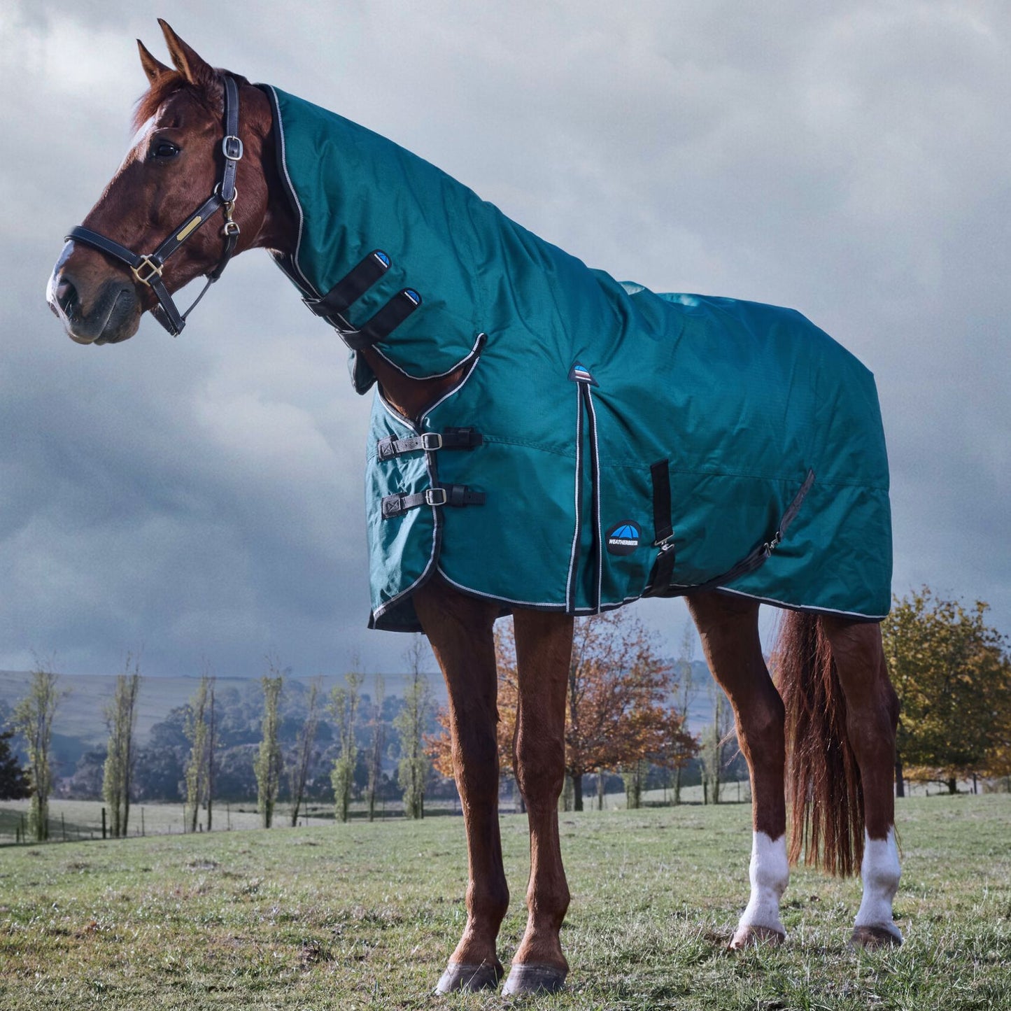 Weatherbeeta ComFiTec Classic Turnout Combo 360g Forest Green/Black