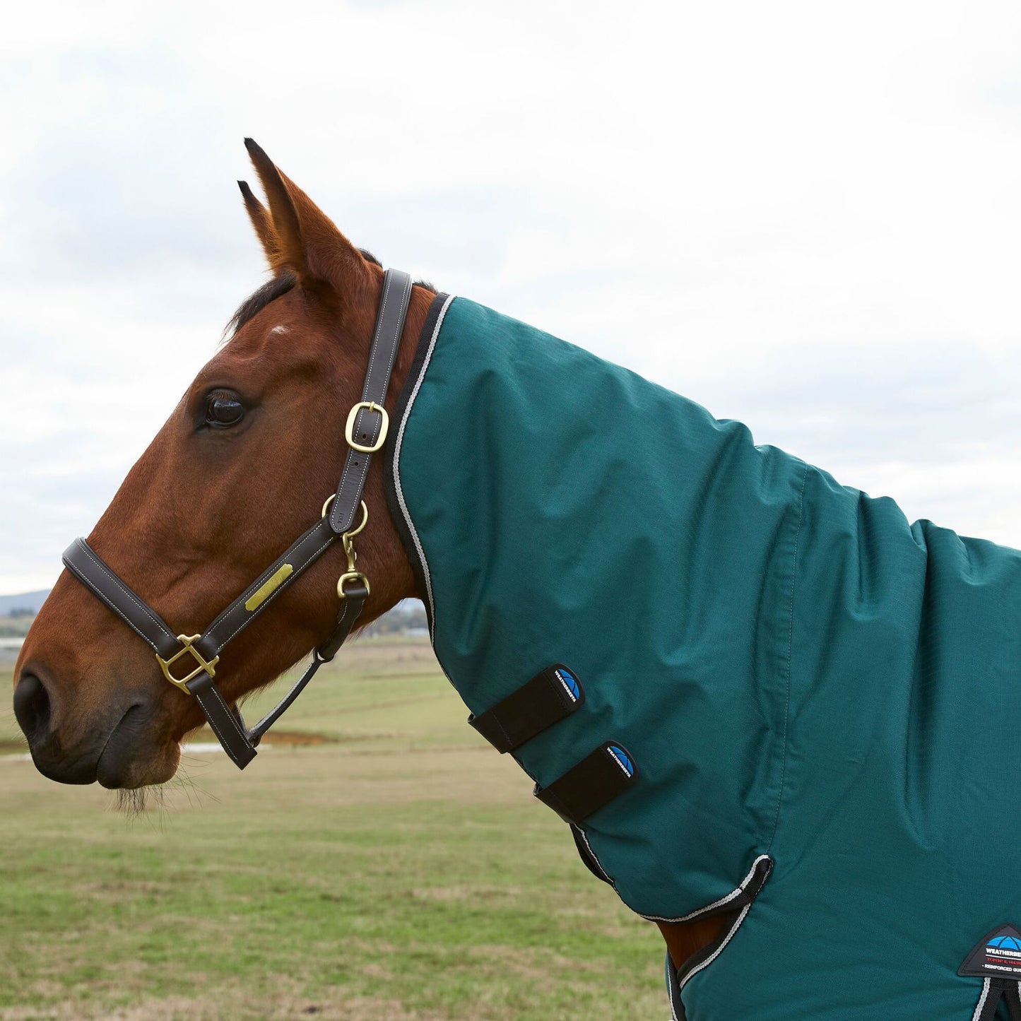 Weatherbeeta ComFiTec Classic Turnout Combo 360g Forest Green/Black