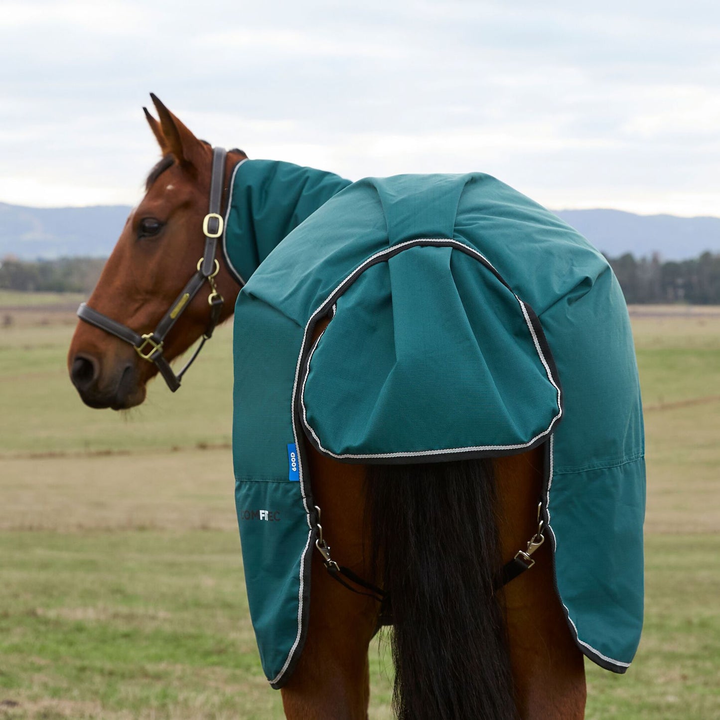 Weatherbeeta ComFiTec Classic Turnout Combo 360g Forest Green/Black