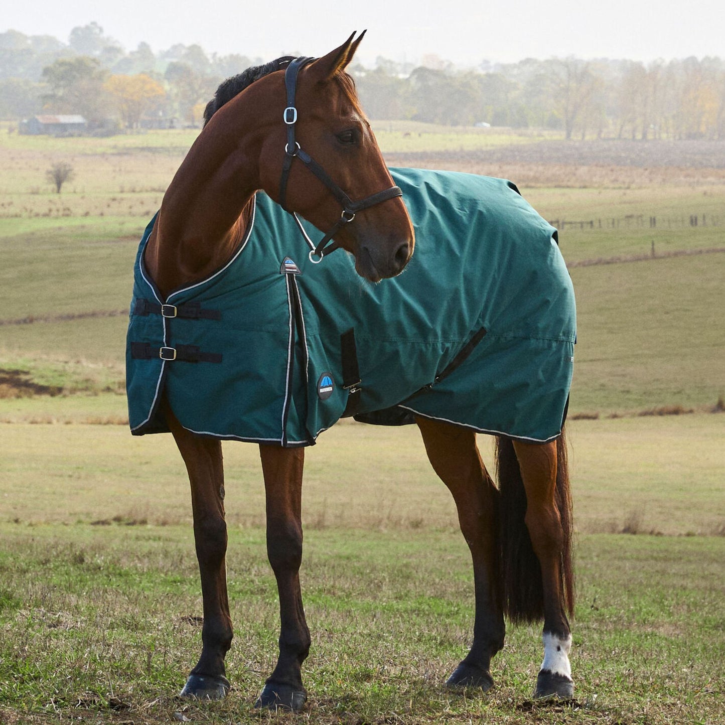 Weatherbeeta ComFiTec Classic Turnout 50g Forest Green/Black