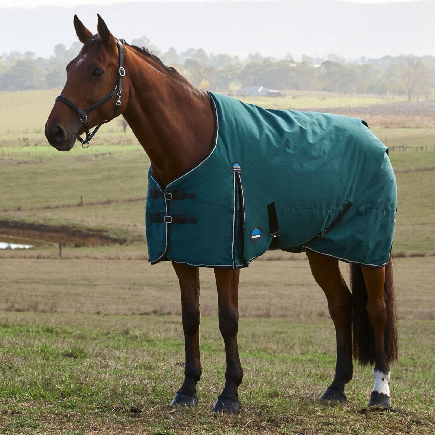 Weatherbeeta ComFiTec Classic Turnout 50g Forest Green/Black