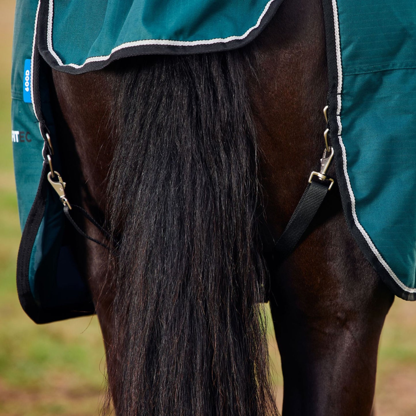 Weatherbeeta ComFiTec Classic Turnout 50g Forest Green/Black