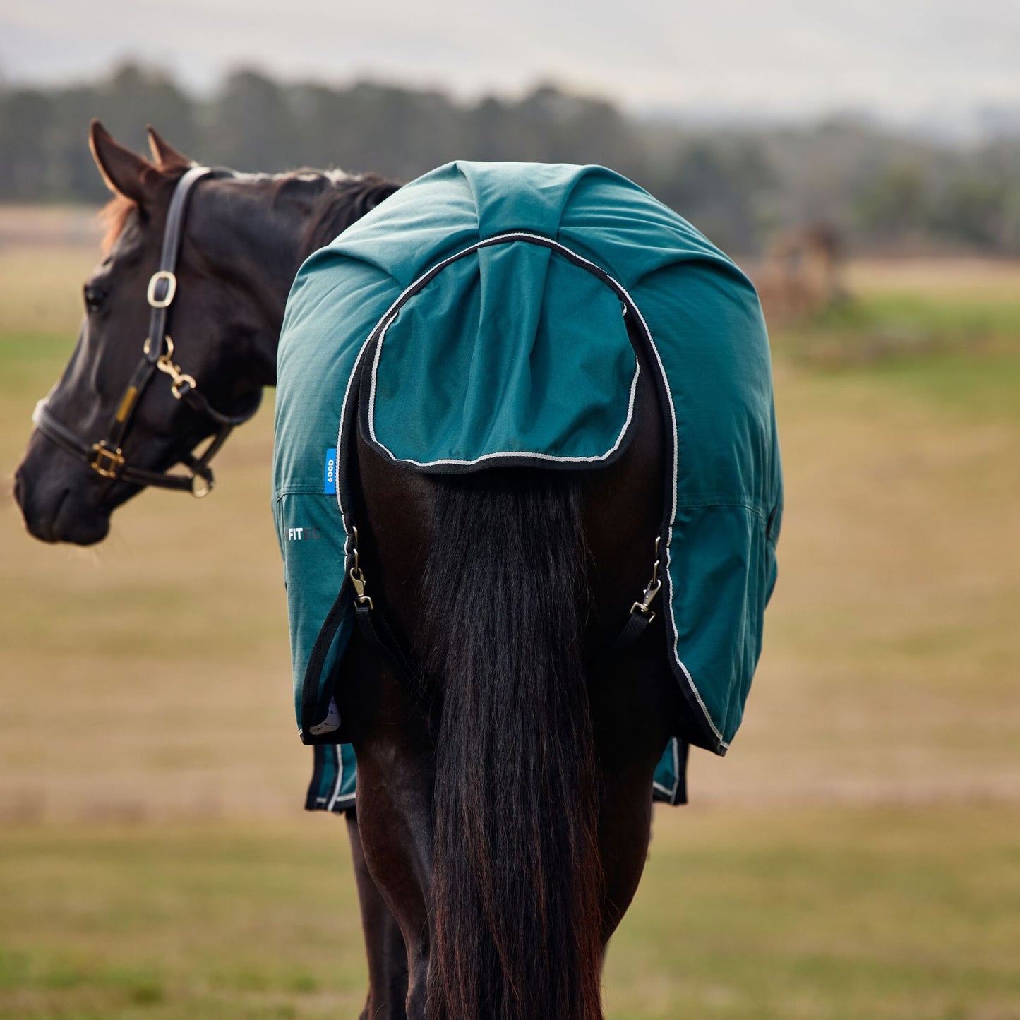 Weatherbeeta ComFiTec Classic Turnout 220g Forest Green/Black