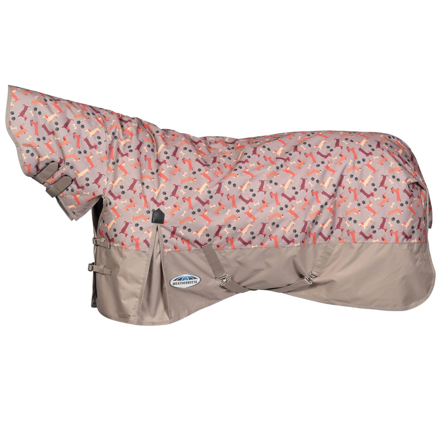 Weatherbeeta ComFiTec Essential Combo Medium Dachshund Print