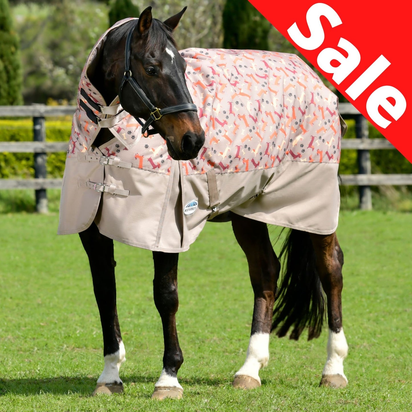 Weatherbeeta ComFiTec Essential Combo Medium Dachshund Print