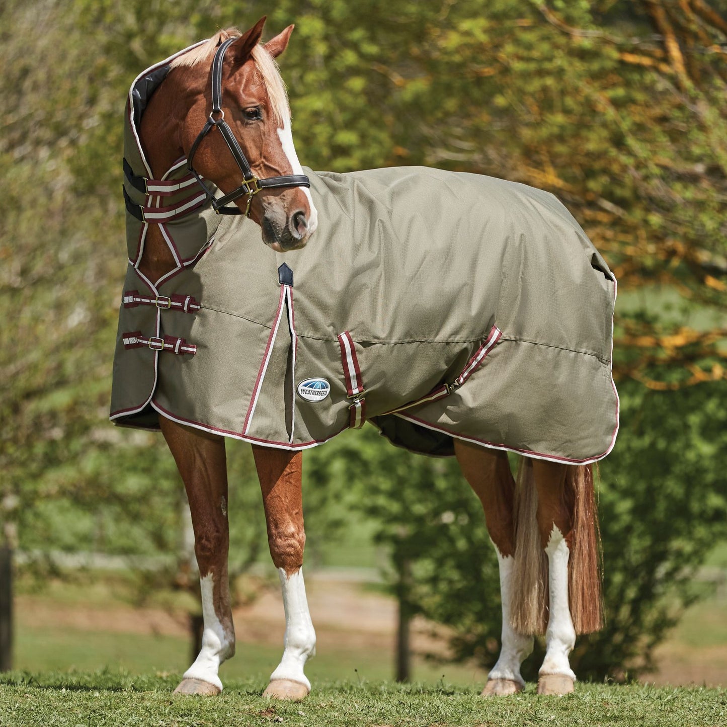 Weatherbeeta ComFiTec Essential Combo Medium Olive Green/Burgundy/White