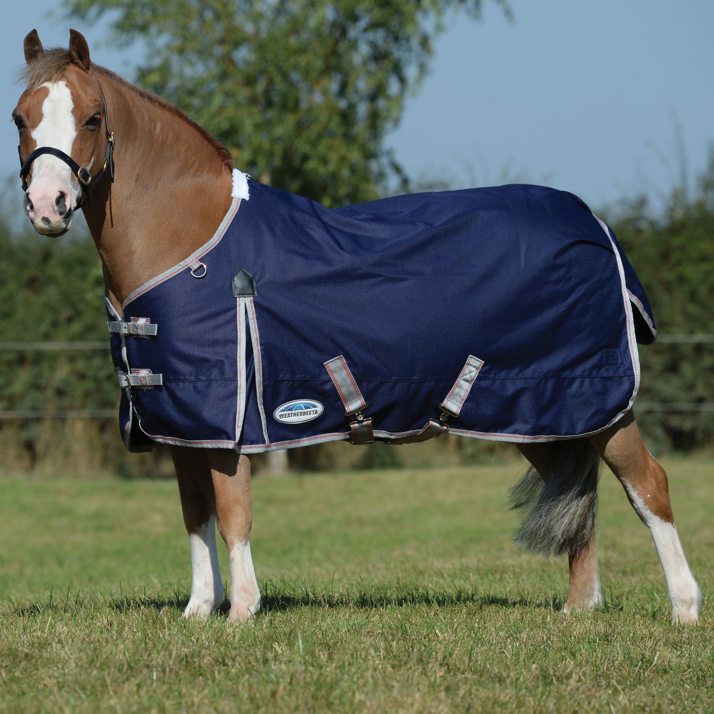 Weatherbeeta ComFiTec Essential Standard Lite Plus 50g Navy/Silver/Red