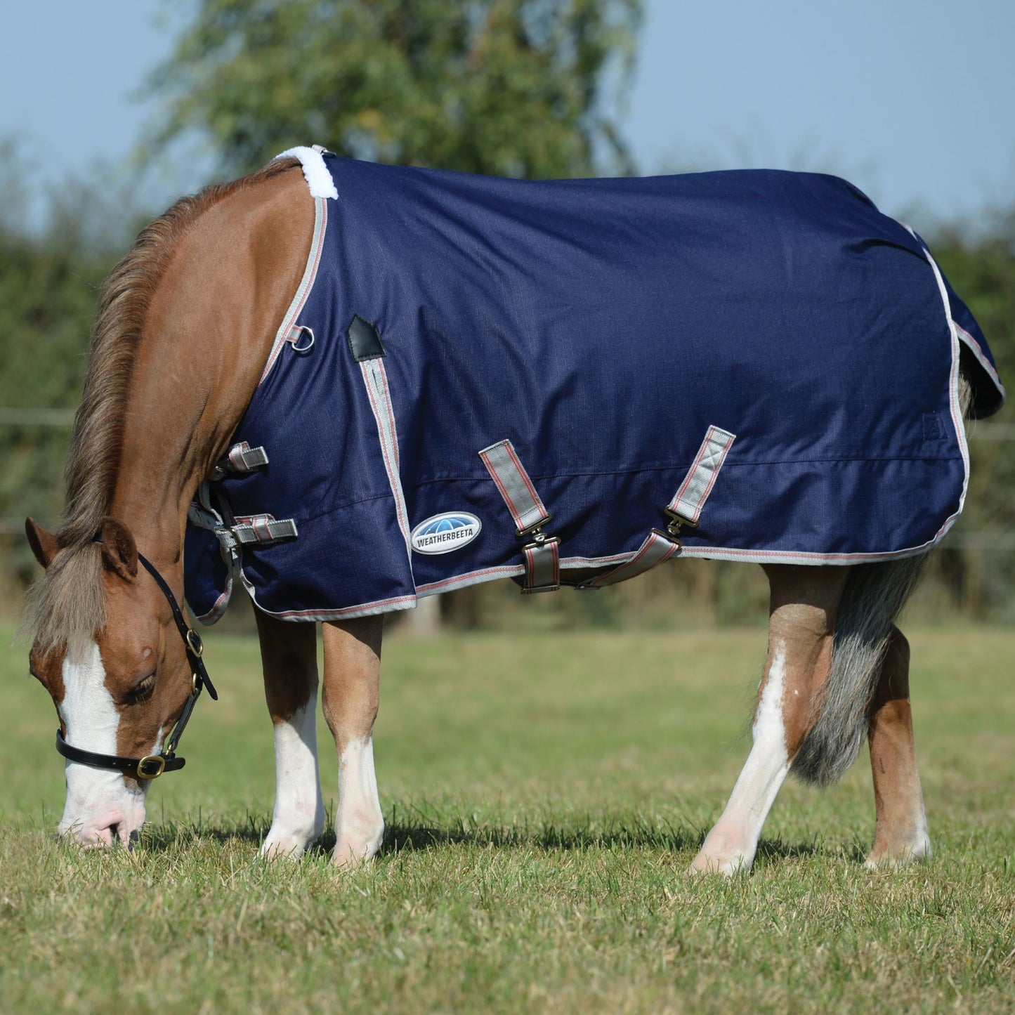 Weatherbeeta ComFiTec Essential Standard Lite Plus 50g Navy/Silver/Red