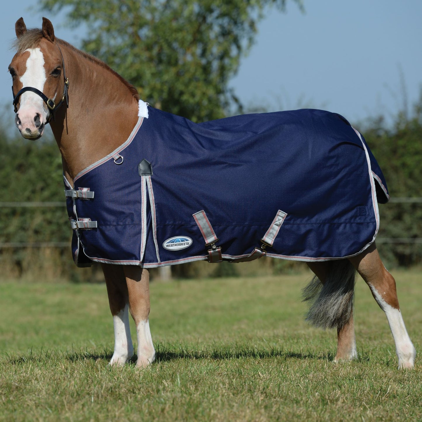 Weatherbeeta ComFiTec Essential Standard Medium Navy/Silver/Red