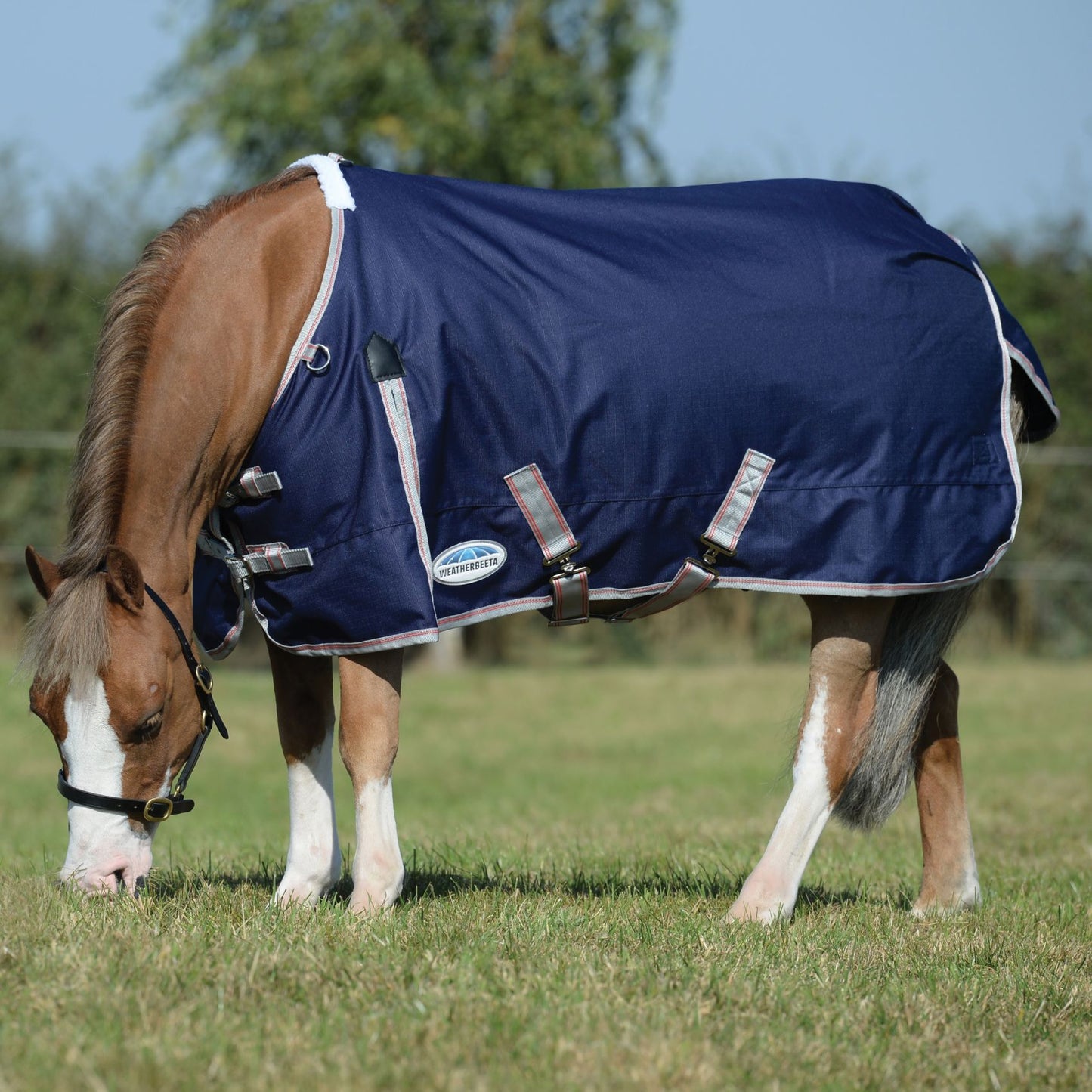 Weatherbeeta ComFiTec Essential Standard Medium Navy/Silver/Red