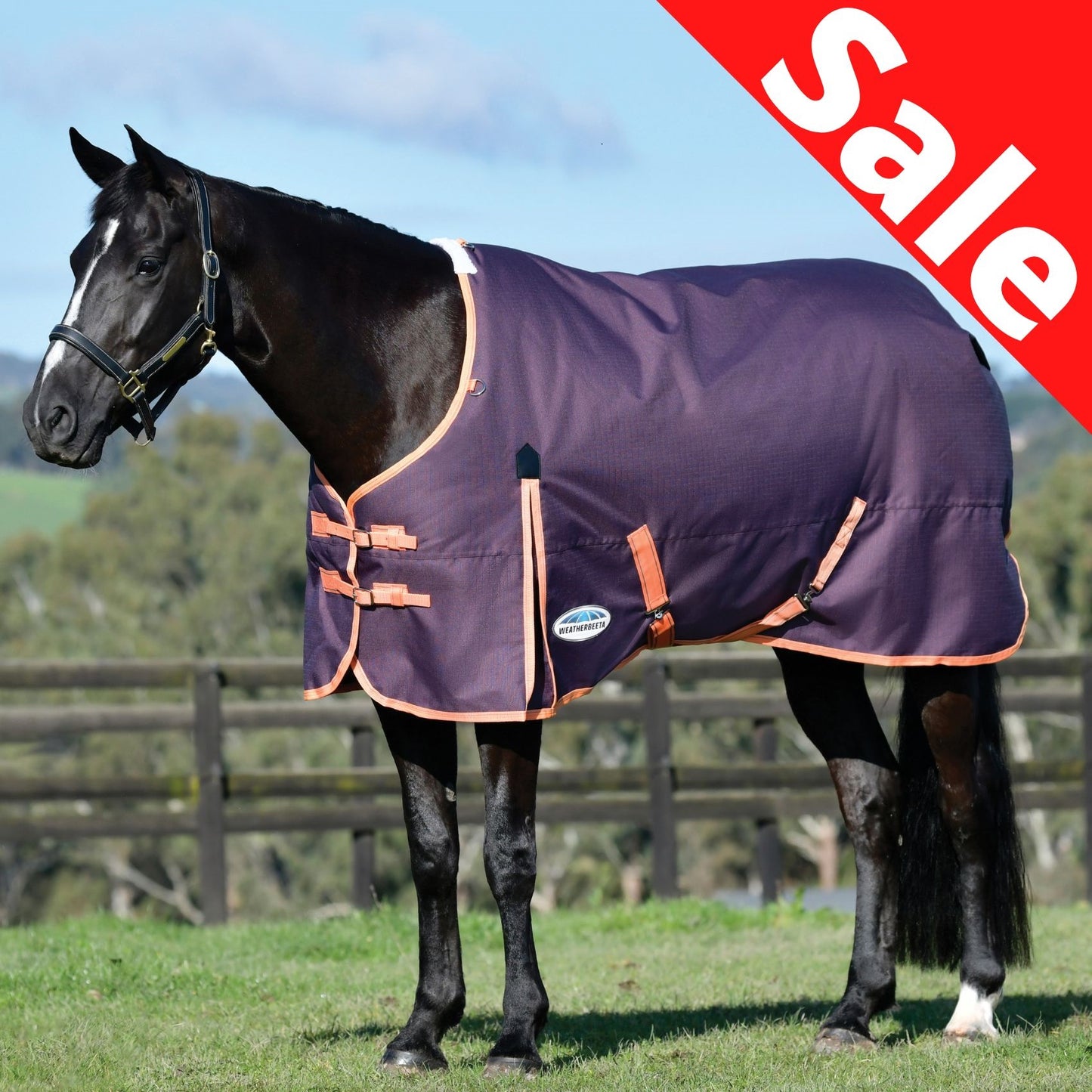 Weatherbeeta ComFiTec Essential Standard Medium Plum/Orange/Grey