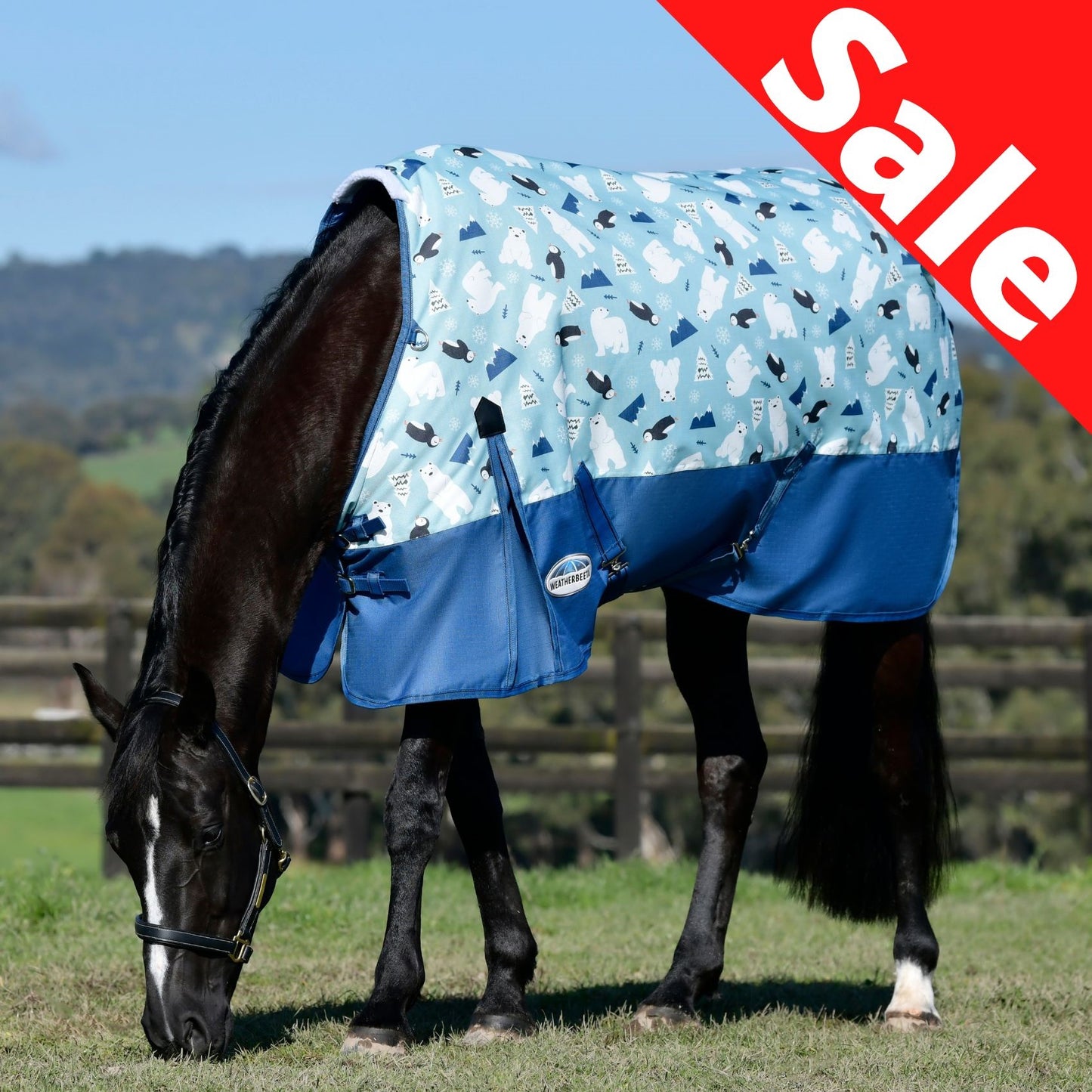 Weatherbeeta ComFiTec Essential Standard Medium Winter Print