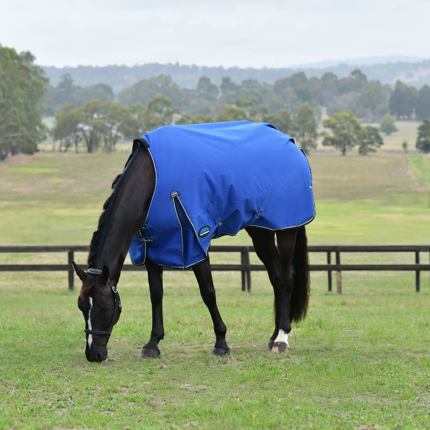 Weatherbeeta ComFiTec Essential Turnout 220g Cobalt/Black