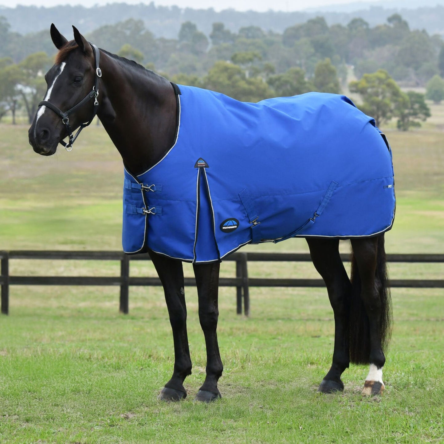 Weatherbeeta ComFiTec Essential Turnout 220g Cobalt/Black