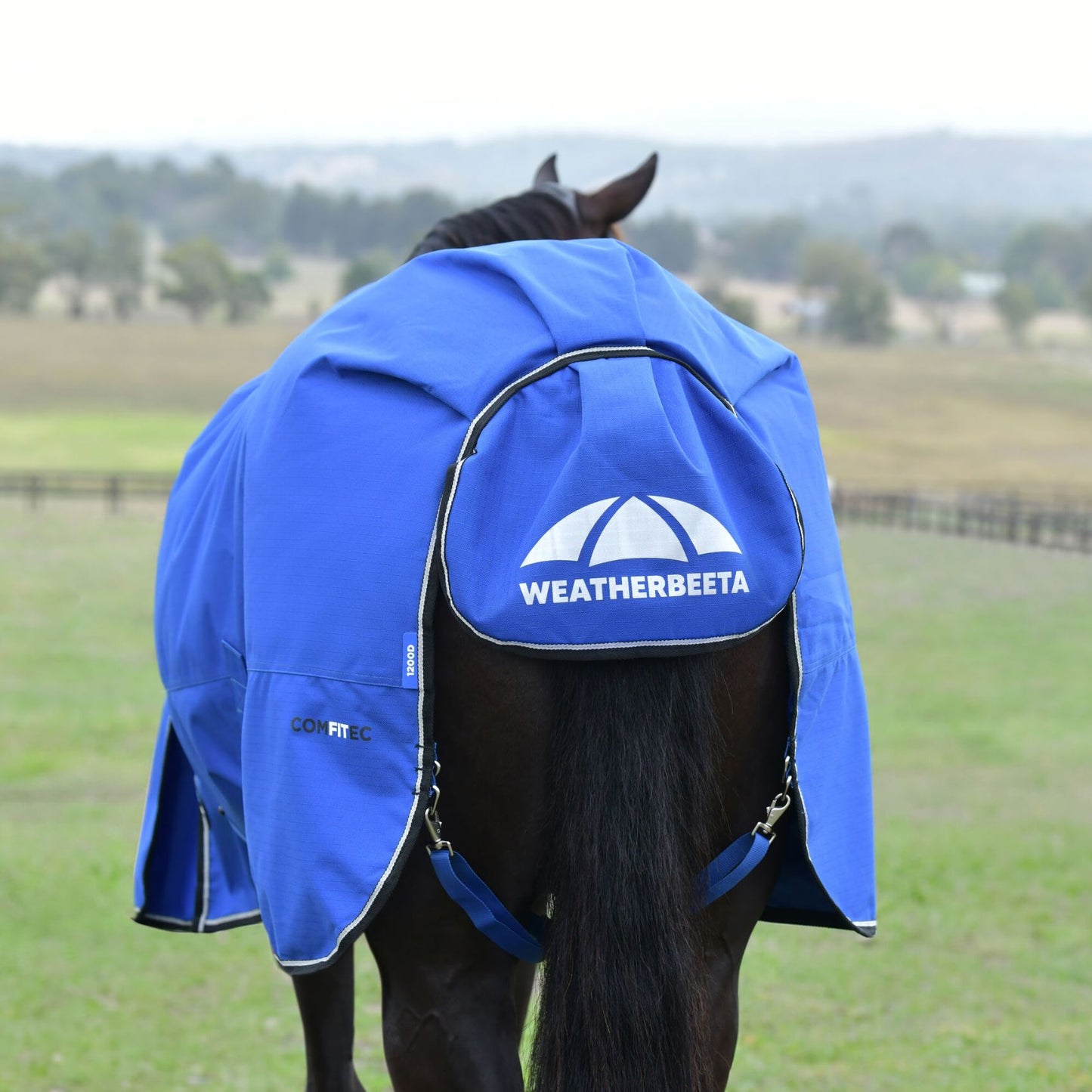 Weatherbeeta ComFiTec Essential Turnout 220g Cobalt/Black