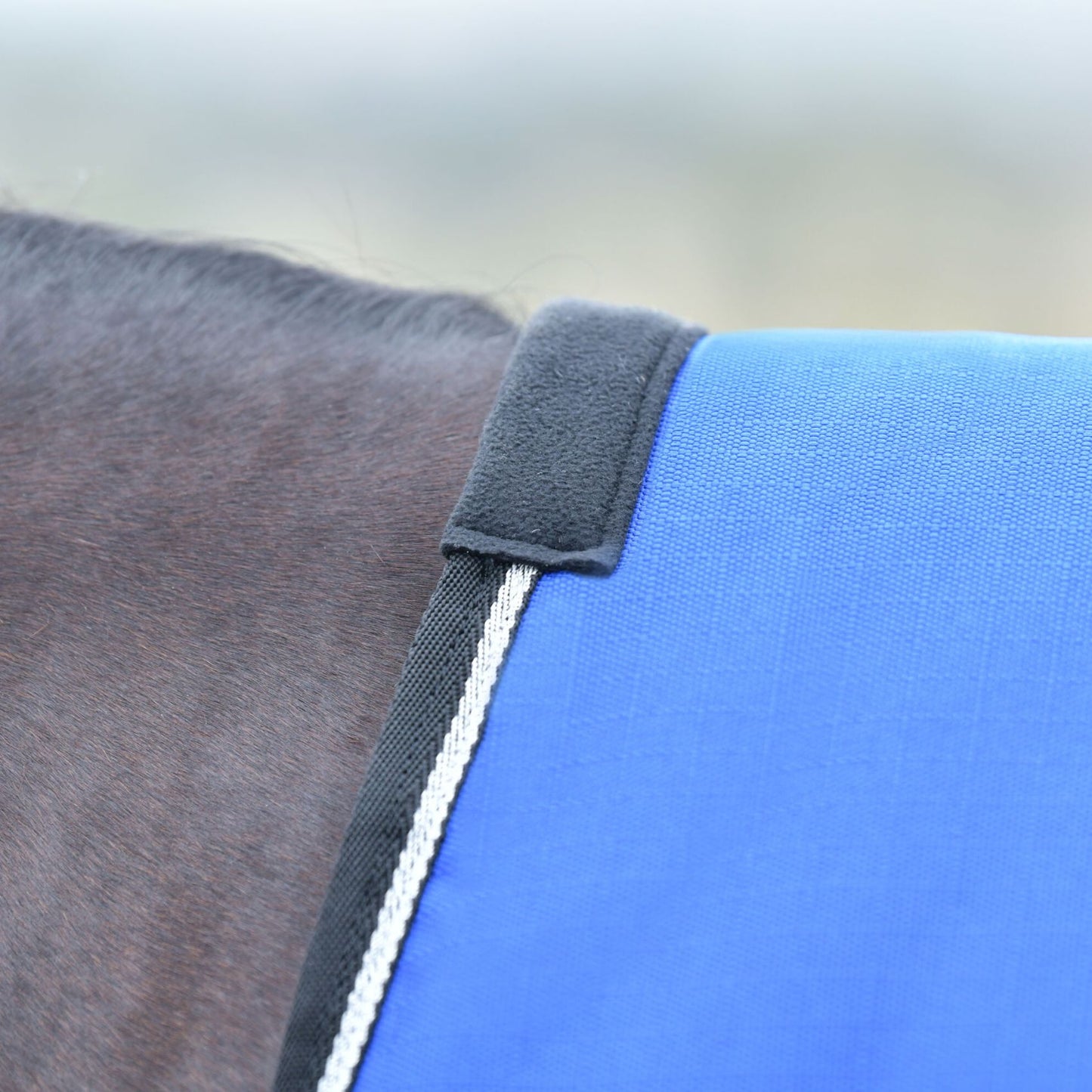 Weatherbeeta ComFiTec Essential Turnout 220g Cobalt/Black