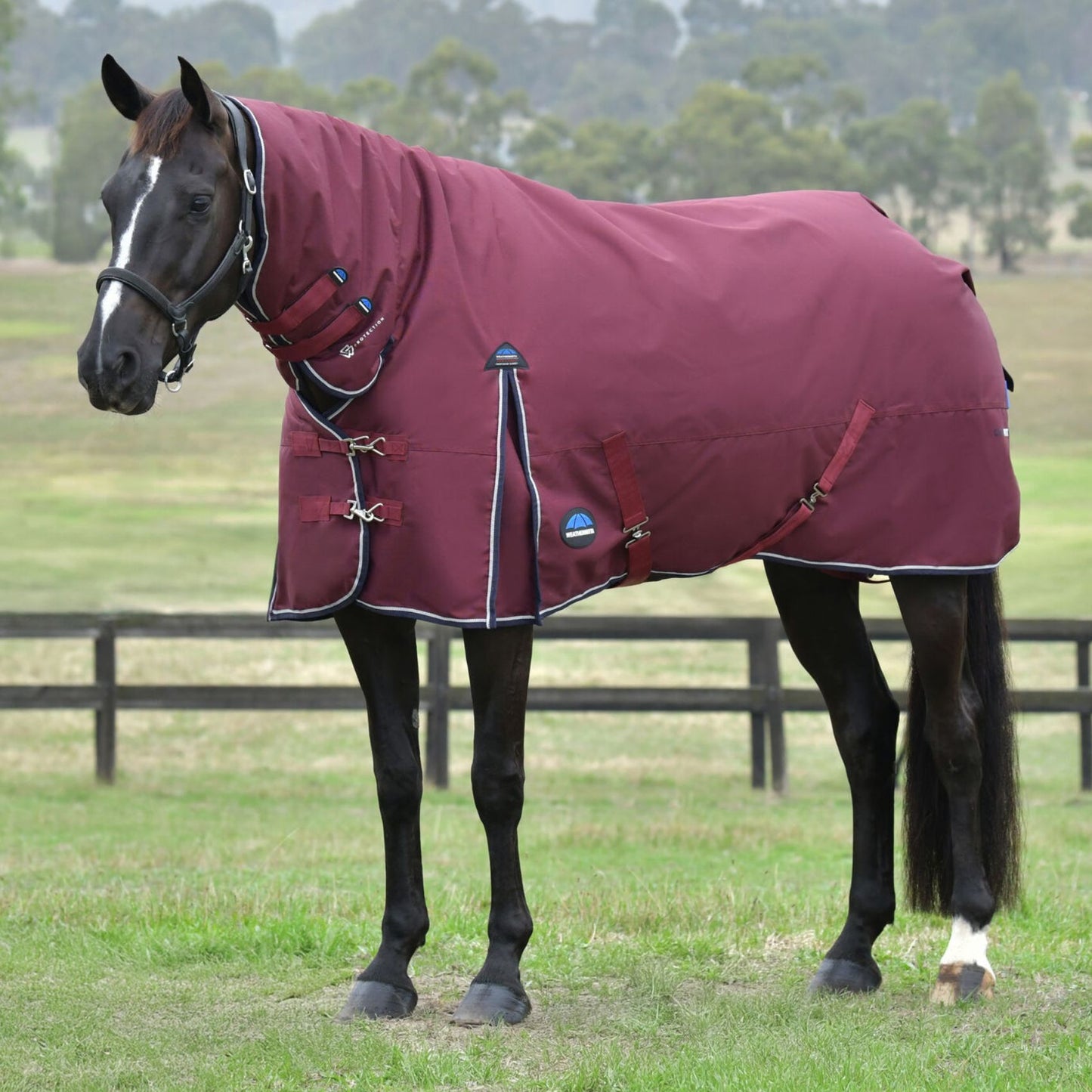 Weatherbeeta ComFiTec Essential Turnout Combo 360g