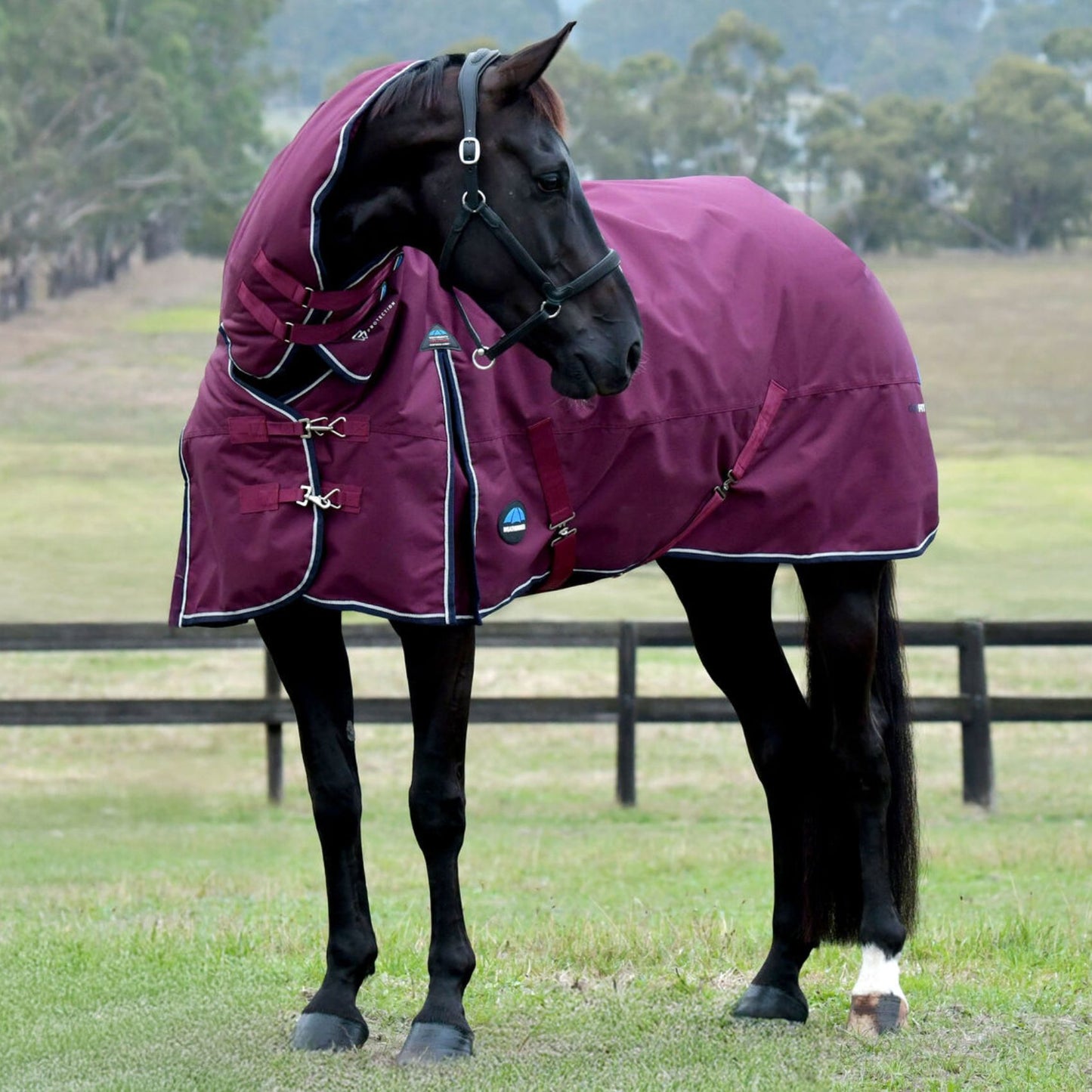 Weatherbeeta ComFiTec Essential Turnout Combo 360g