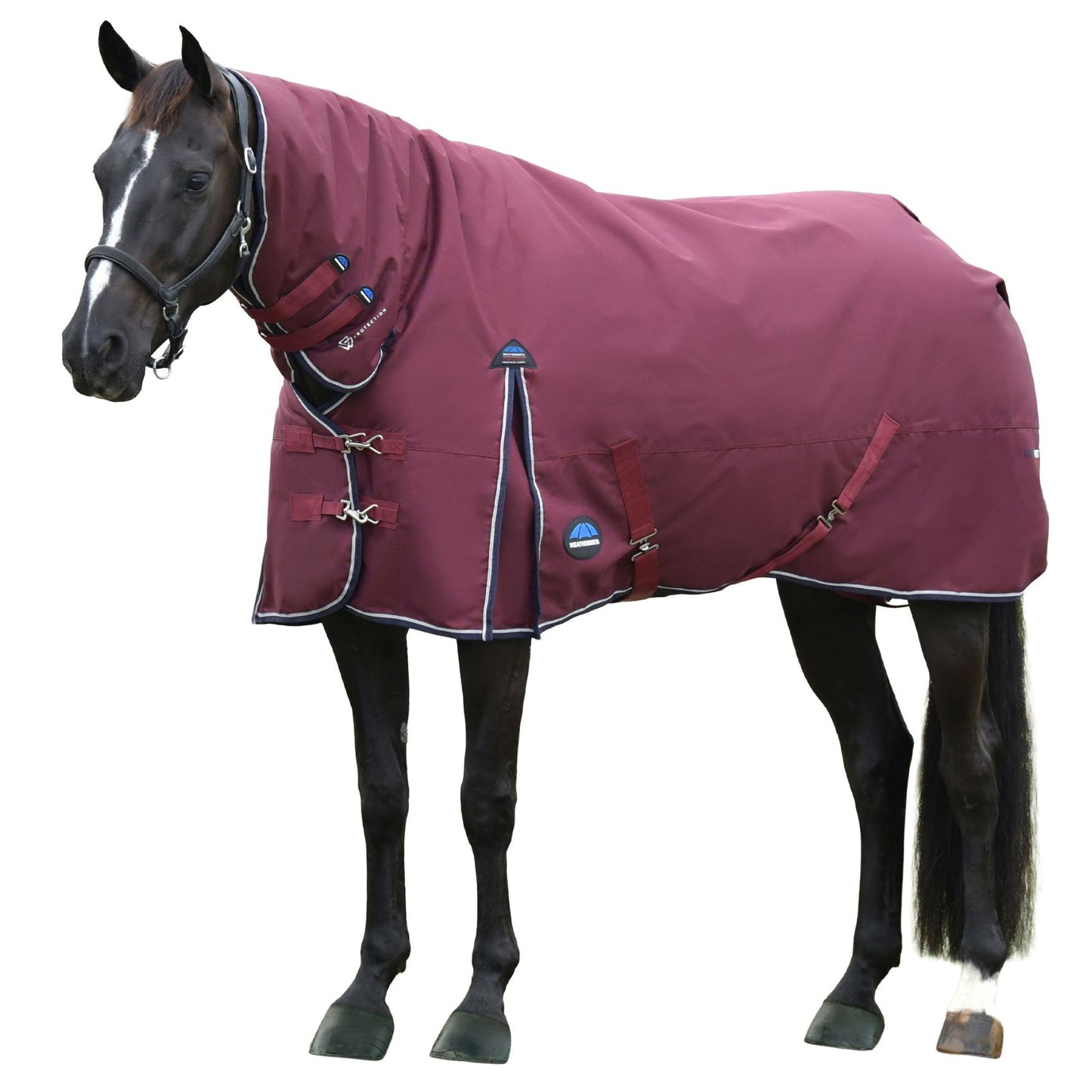 Weatherbeeta ComFiTec Essential Turnout Combo 360g
