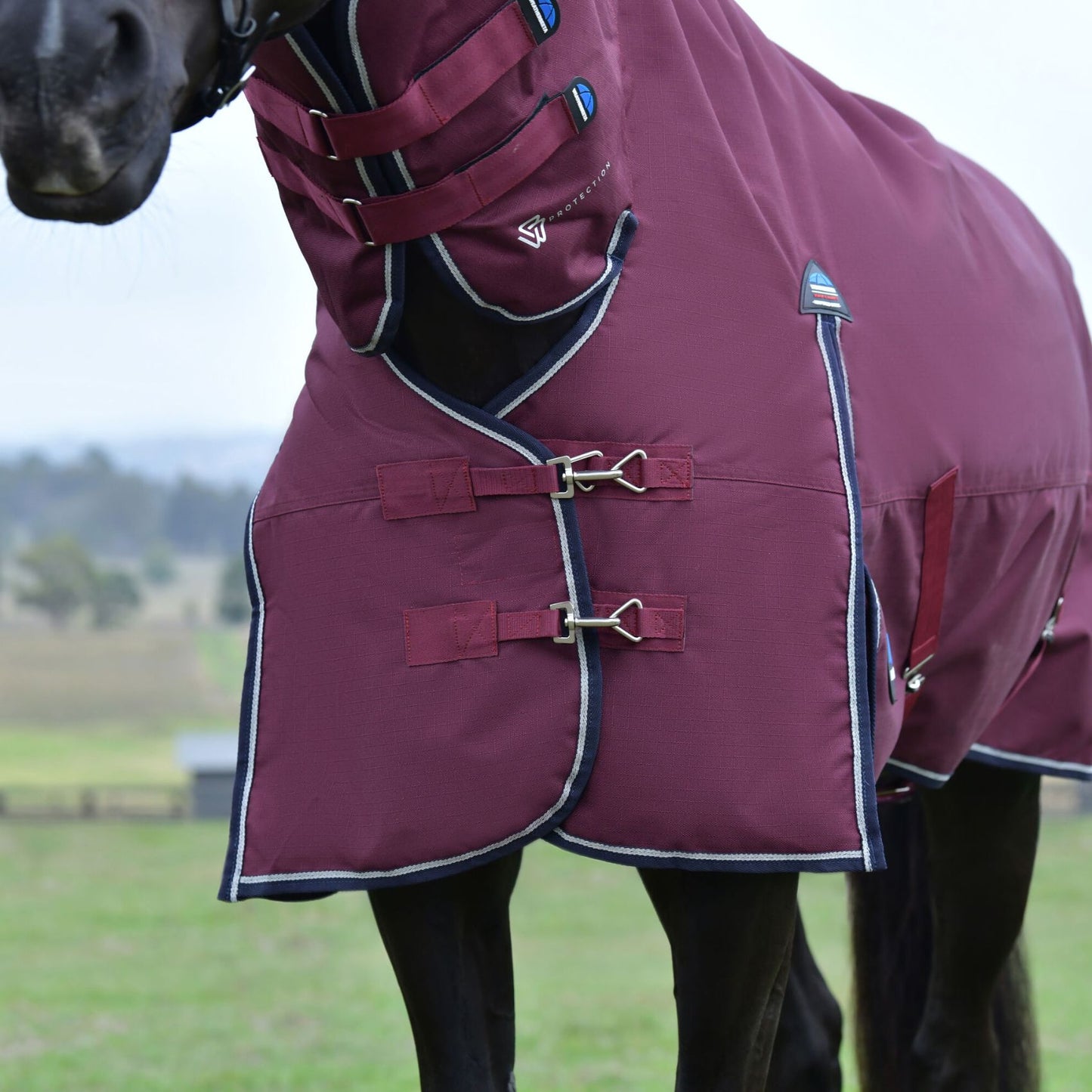 Weatherbeeta ComFiTec Essential Turnout Combo 360g