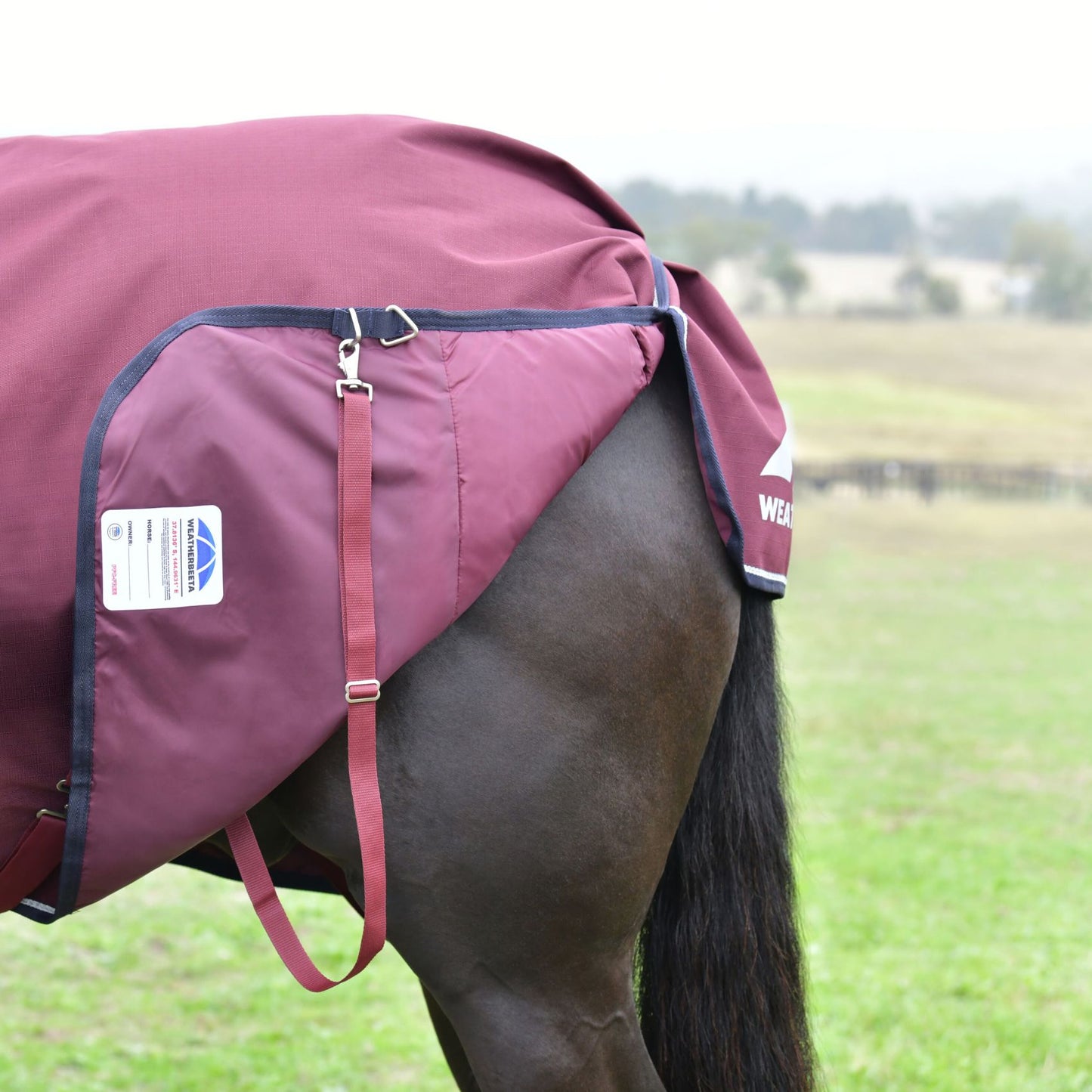 Weatherbeeta ComFiTec Essential Turnout Combo 360g