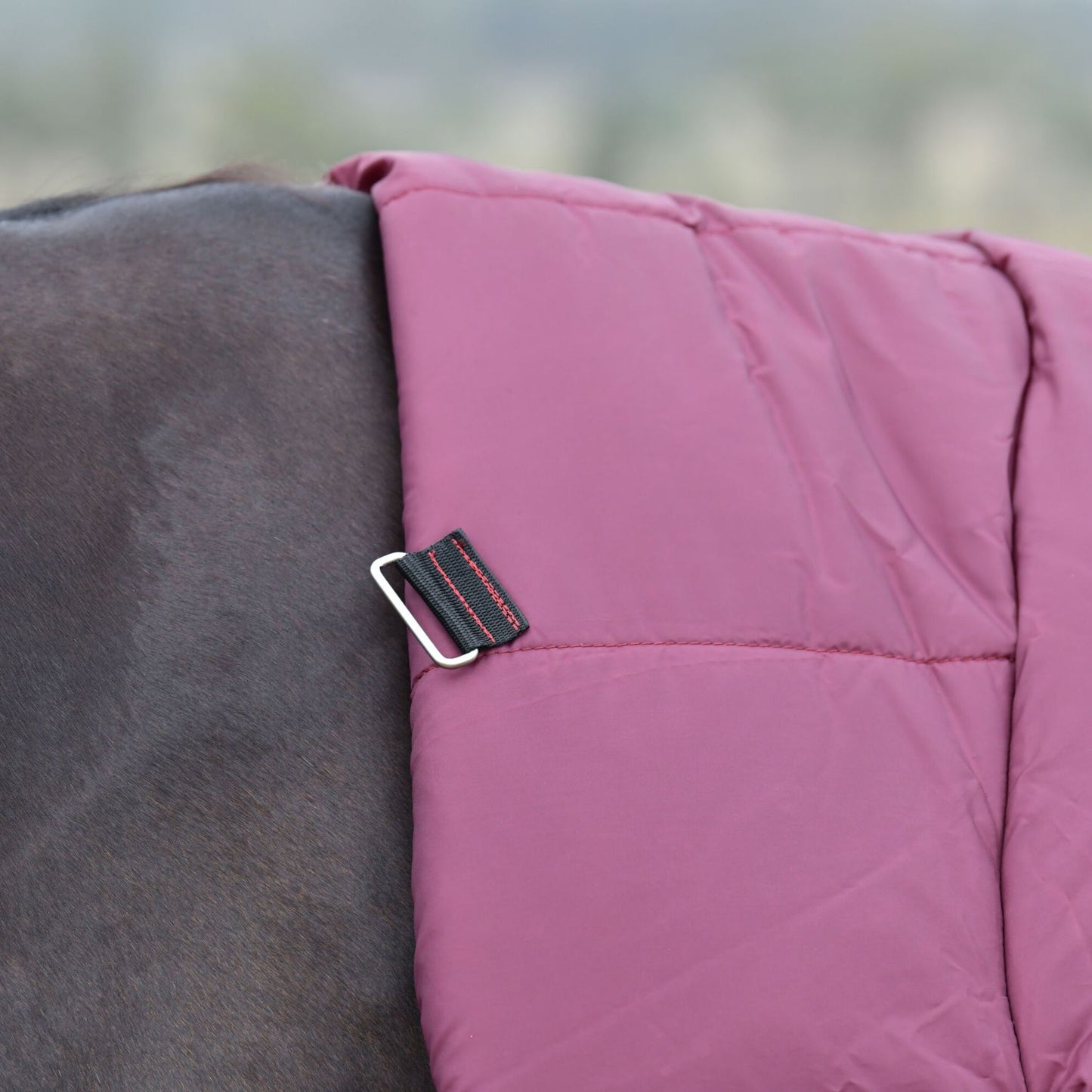 Weatherbeeta ComFiTec Essential Turnout Combo 360g